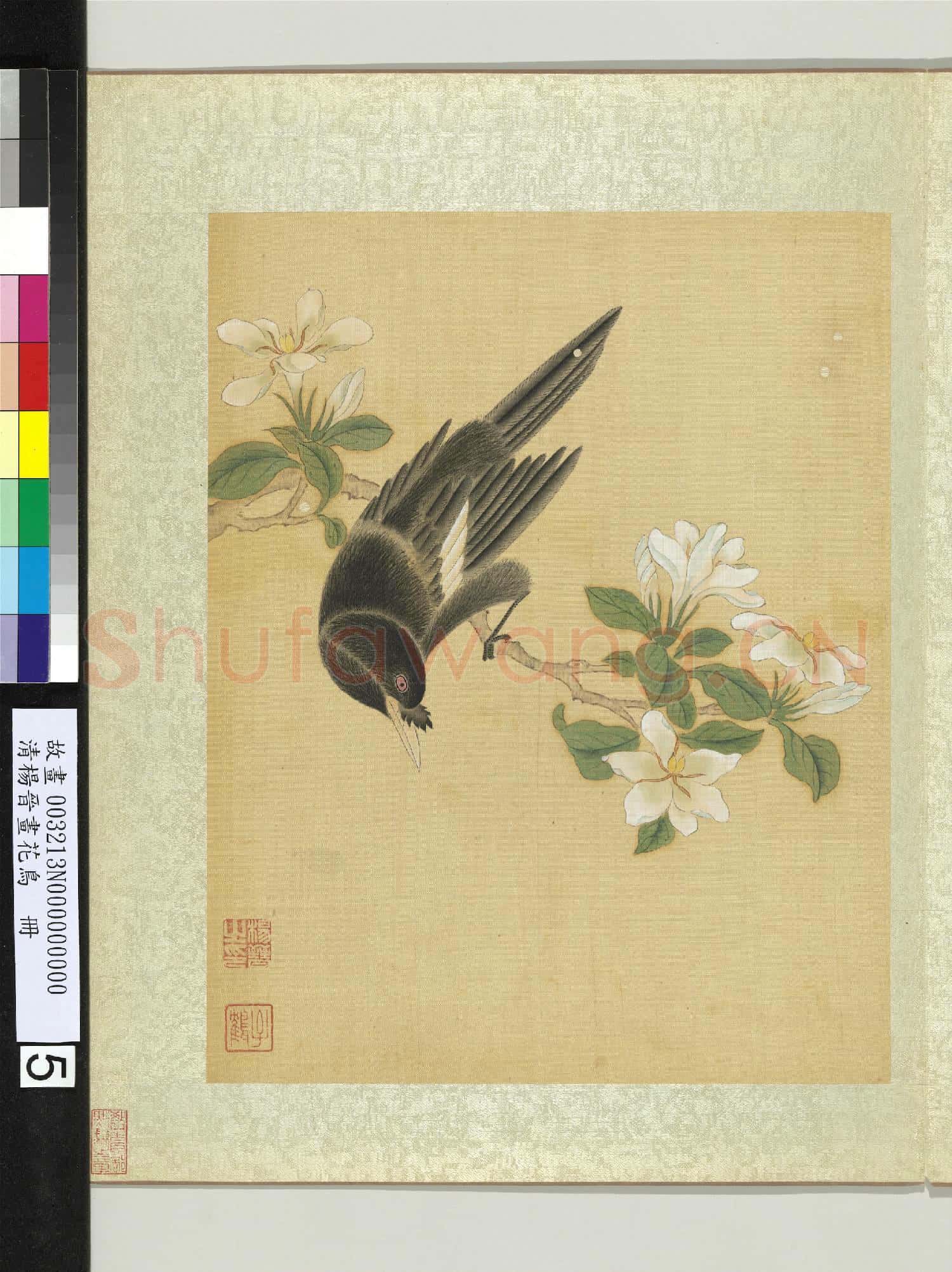 清楊晉畫花鳥 冊 梔子花鸜鵒