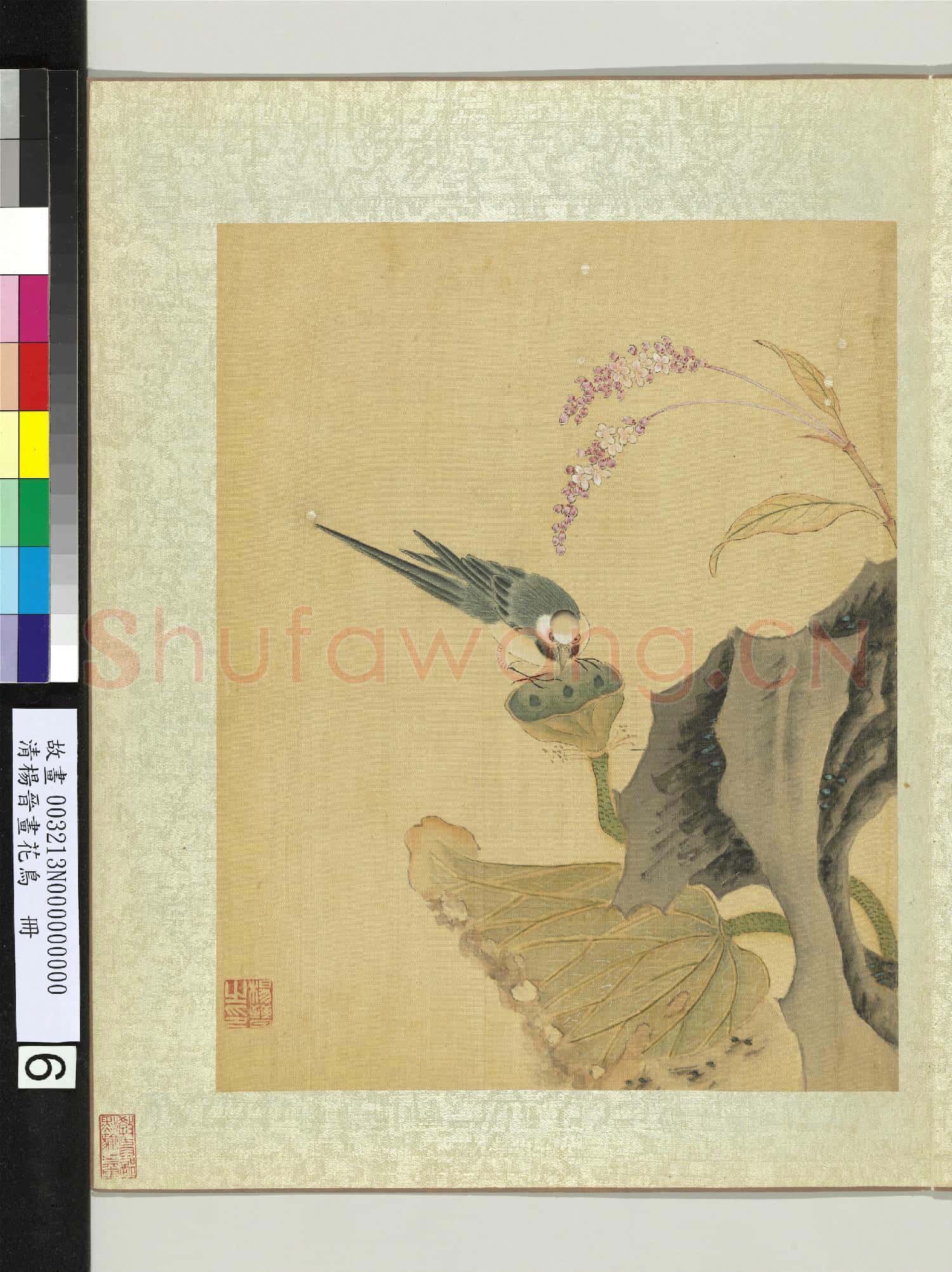 清楊晉畫花鳥 冊 蓮房鶺鴒
