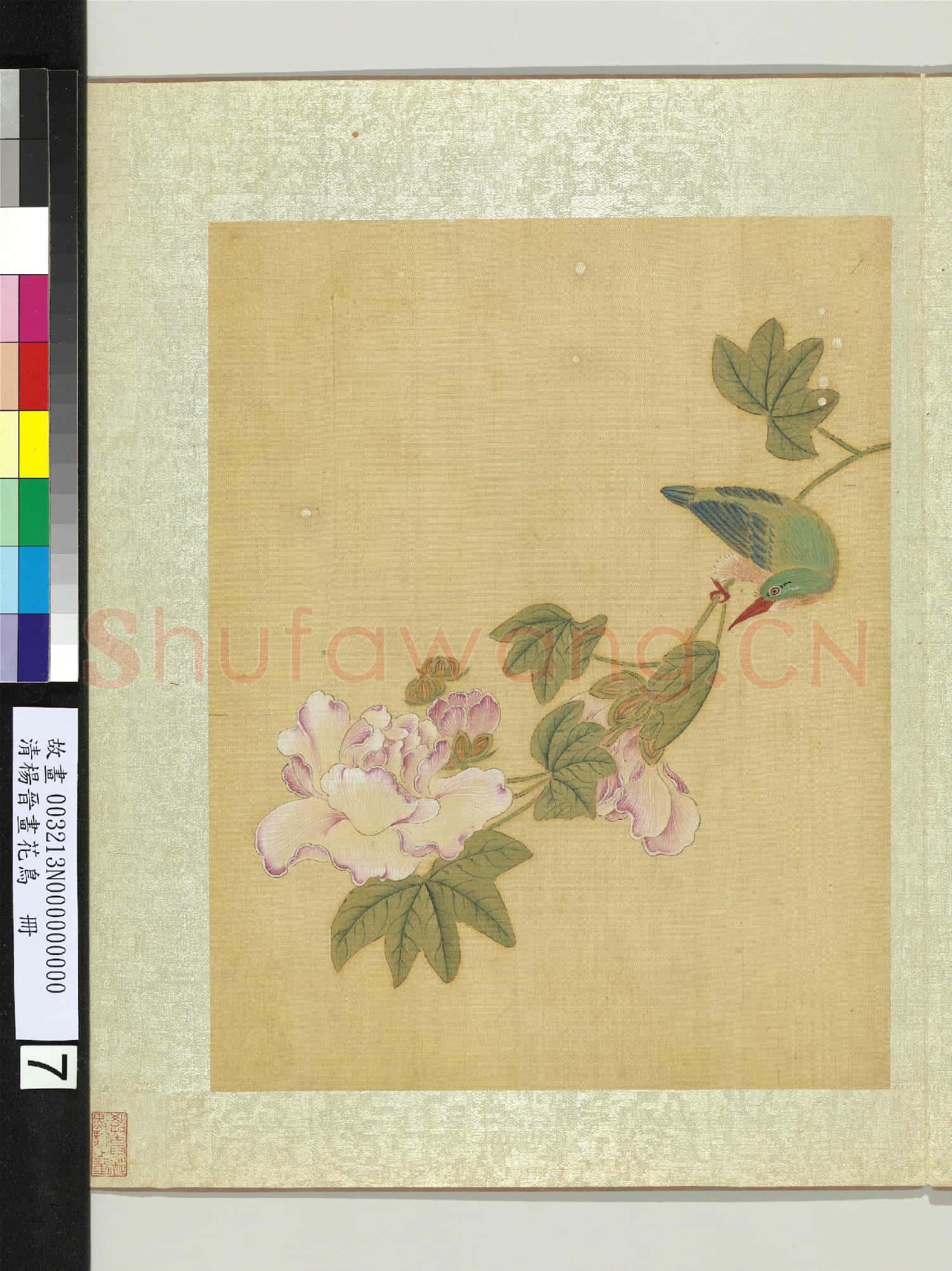 清楊晉畫花鳥 冊 芙蓉魚虎