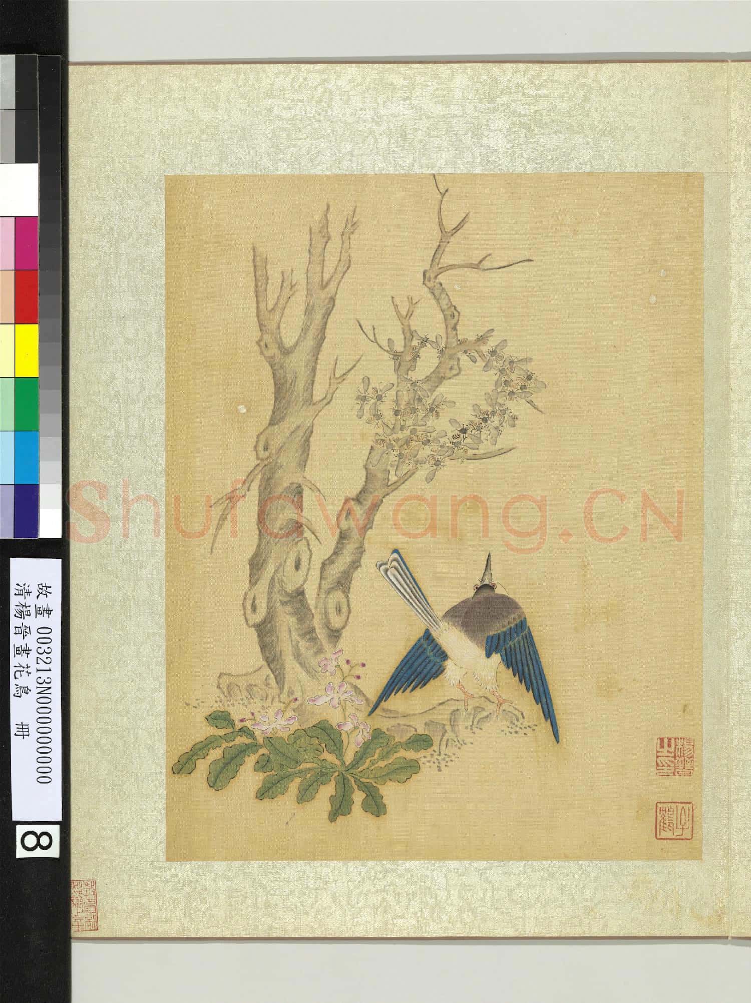 清楊晉畫花鳥 冊 古木蜂窠