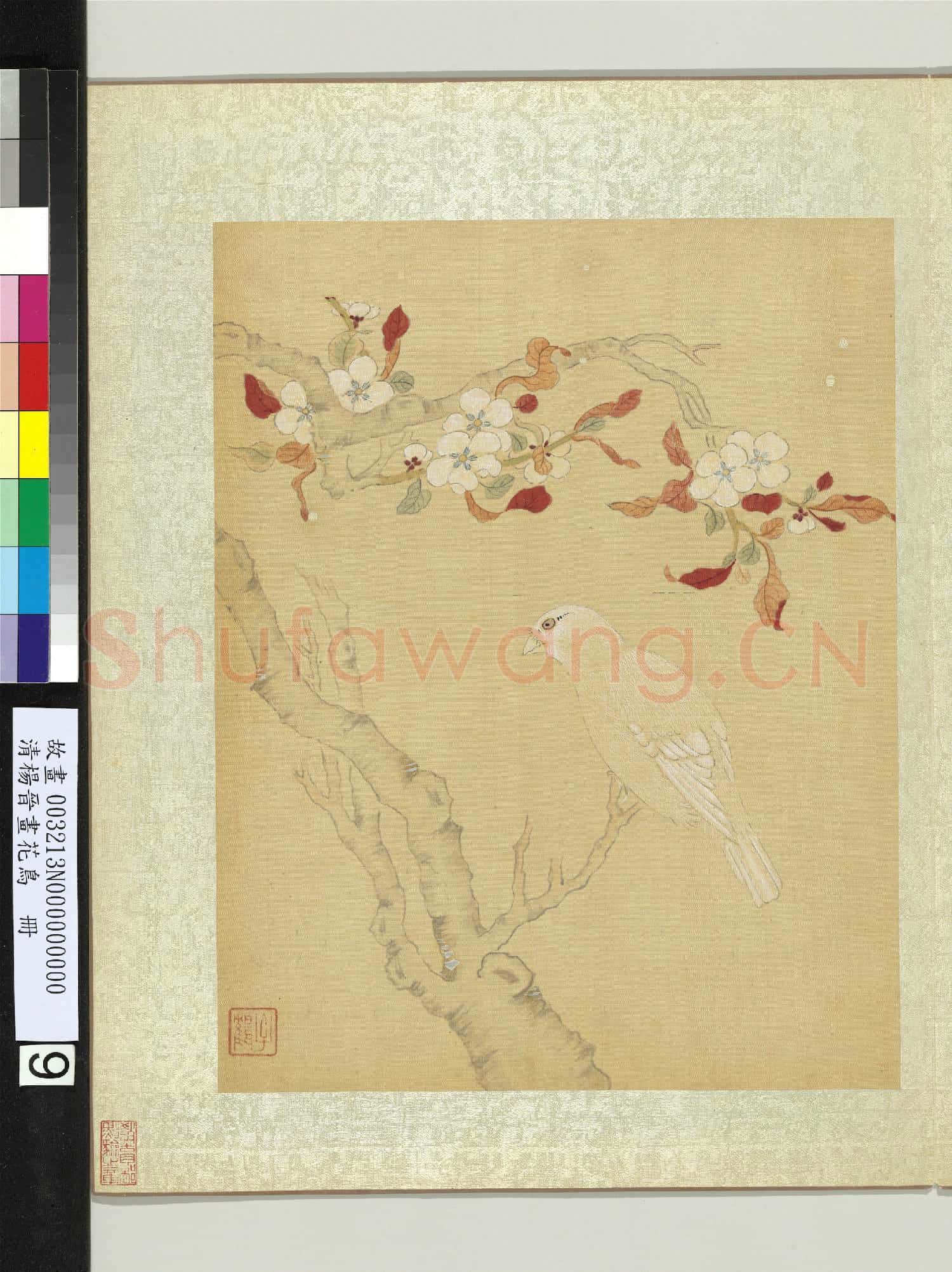 清楊晉畫花鳥 冊 梨花白雀