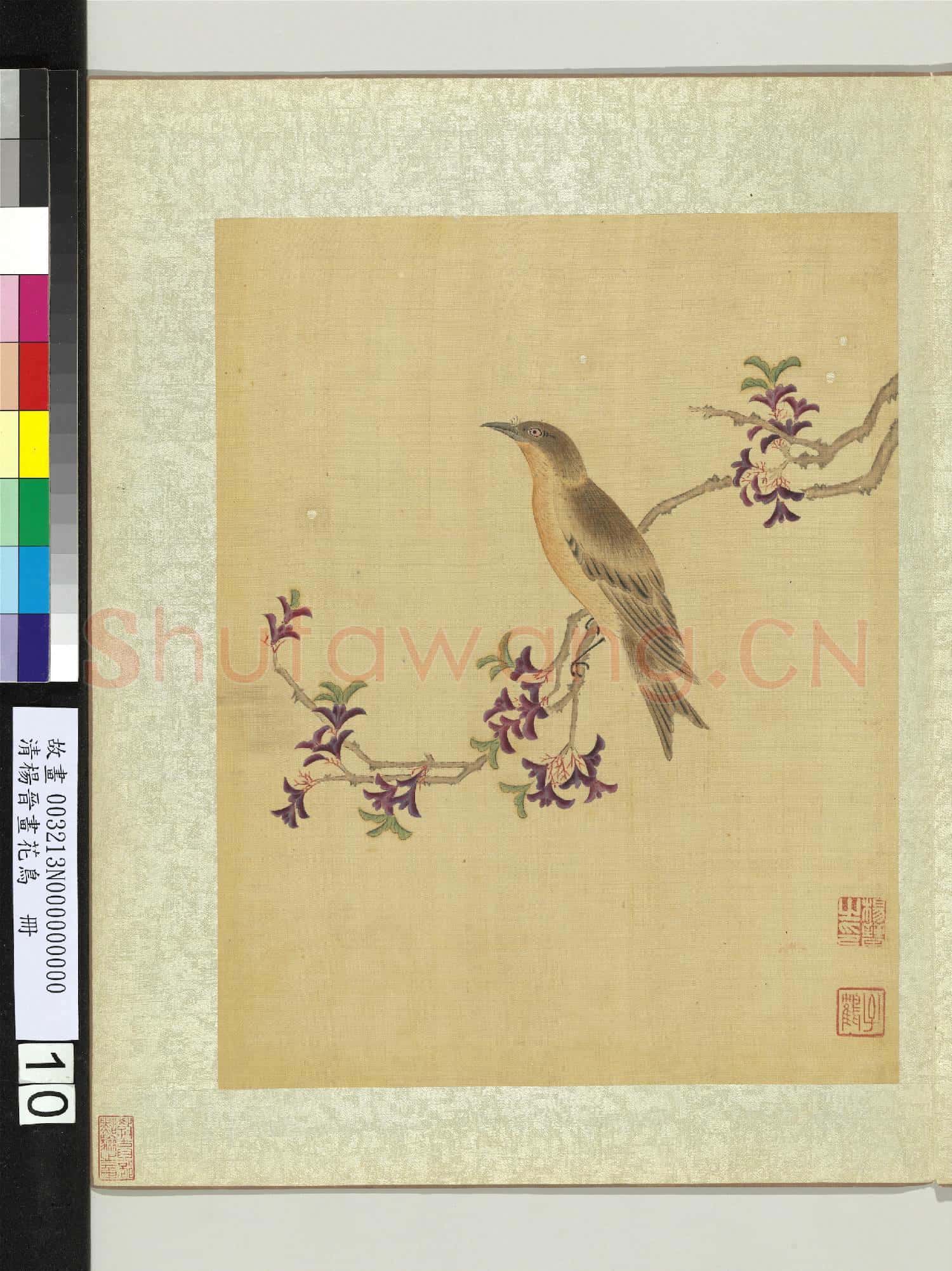 清楊晉畫花鳥 冊 枝上畫眉