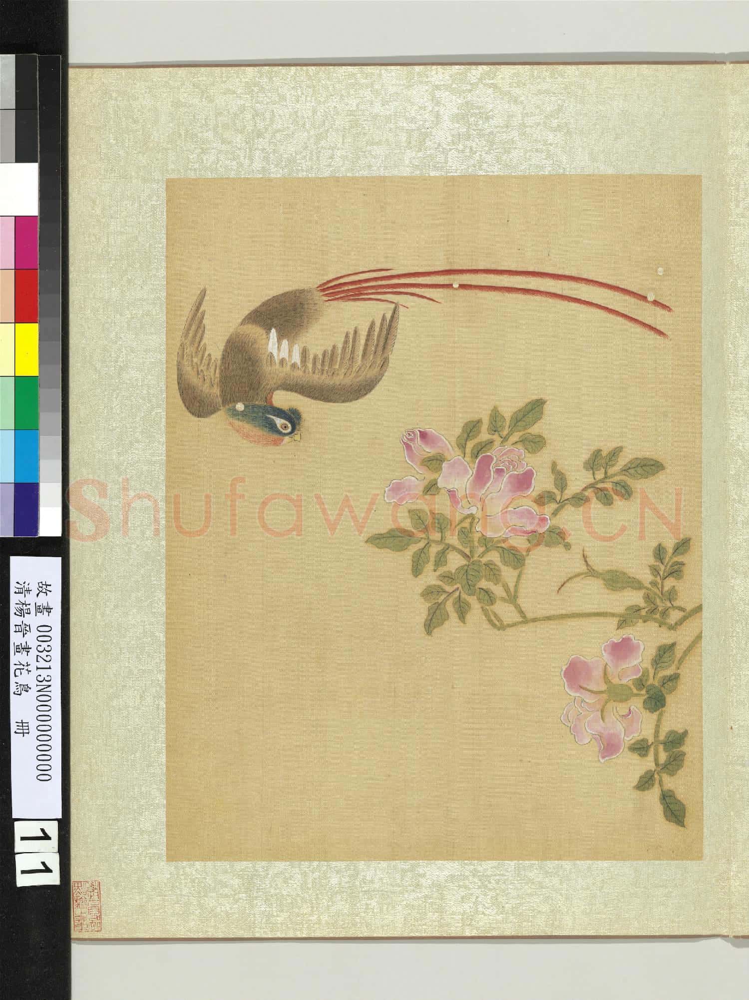 清楊晉畫花鳥 冊 薔薇綬帶鳥