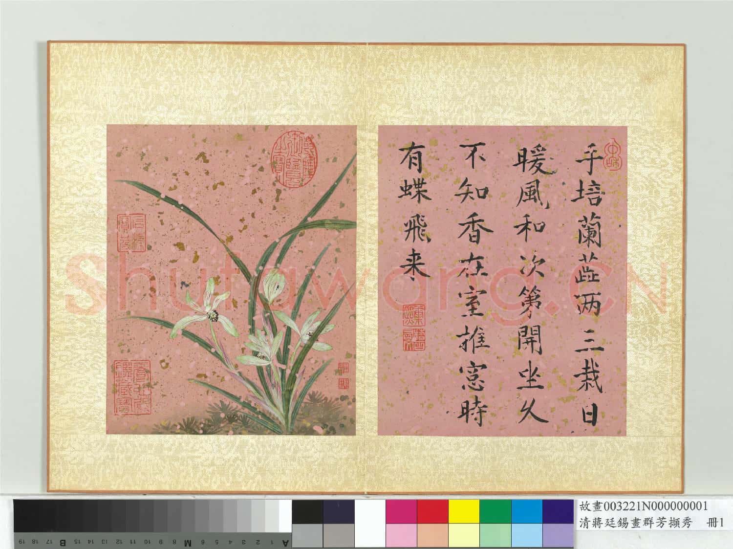 清蔣廷錫畫群芳擷秀 冊 蘭花