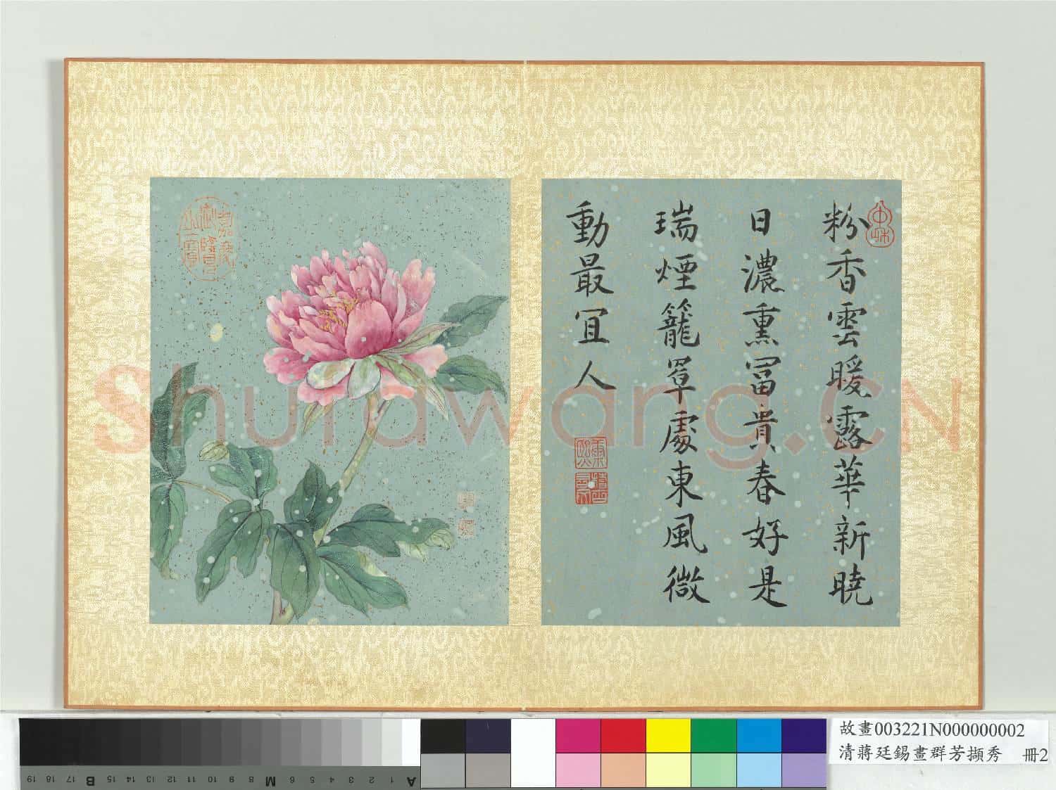 清蔣廷錫畫群芳擷秀 冊 牡丹