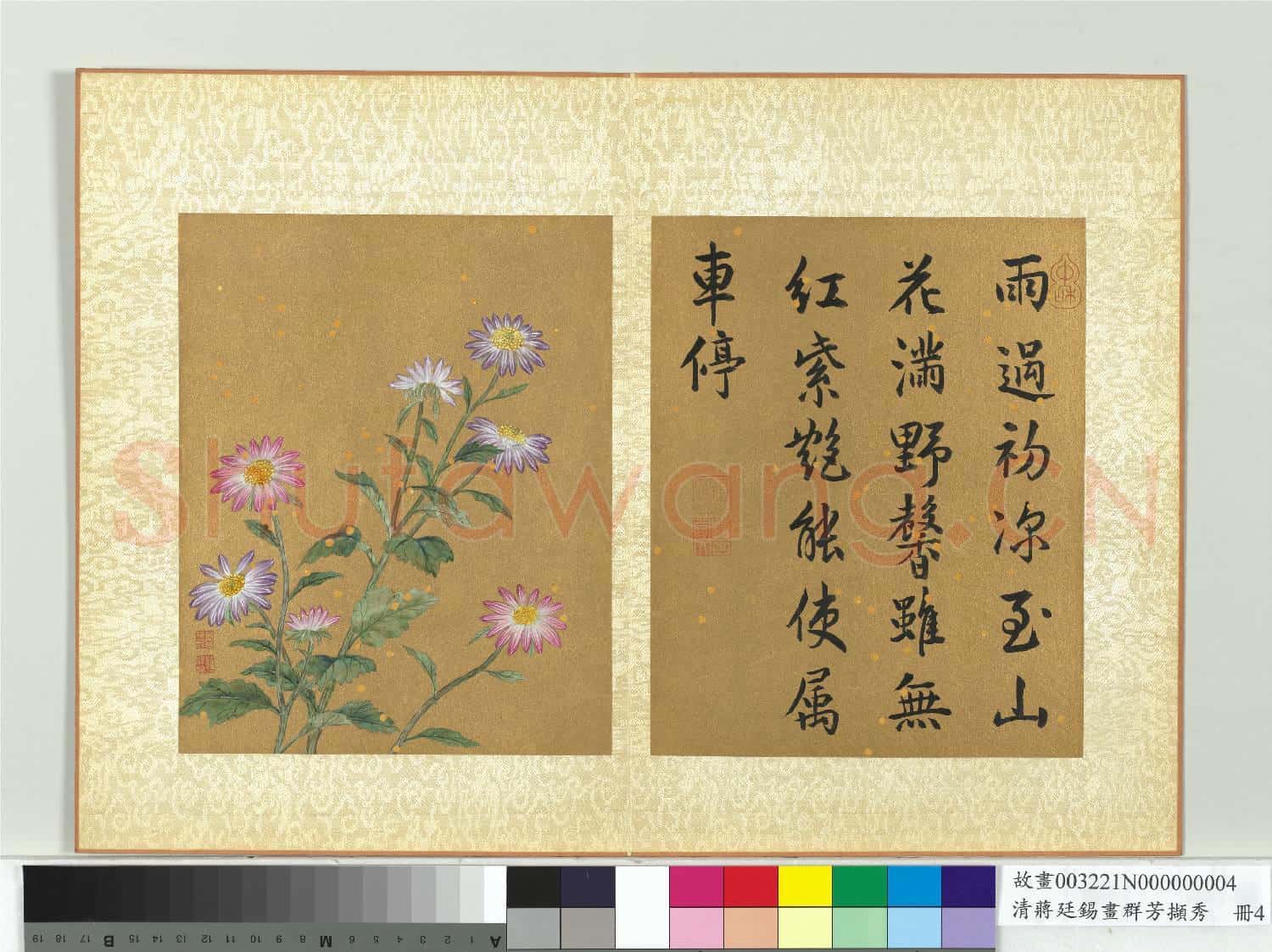 清蔣廷錫畫群芳擷秀 冊 野菊