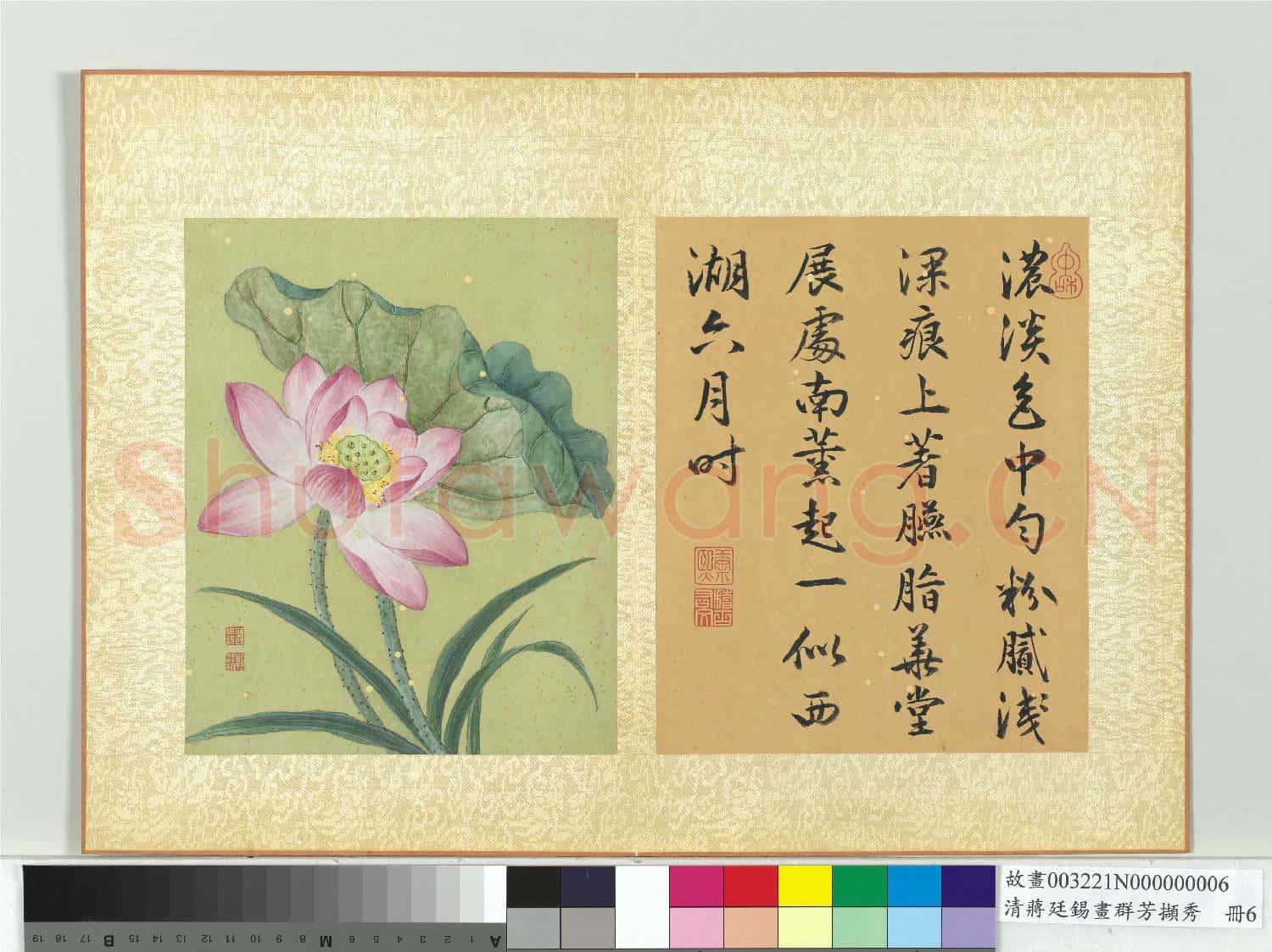 清蔣廷錫畫群芳擷秀 冊 荷花