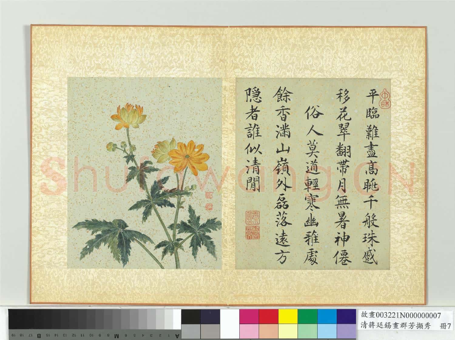 清蔣廷錫畫群芳擷秀 冊 菊花