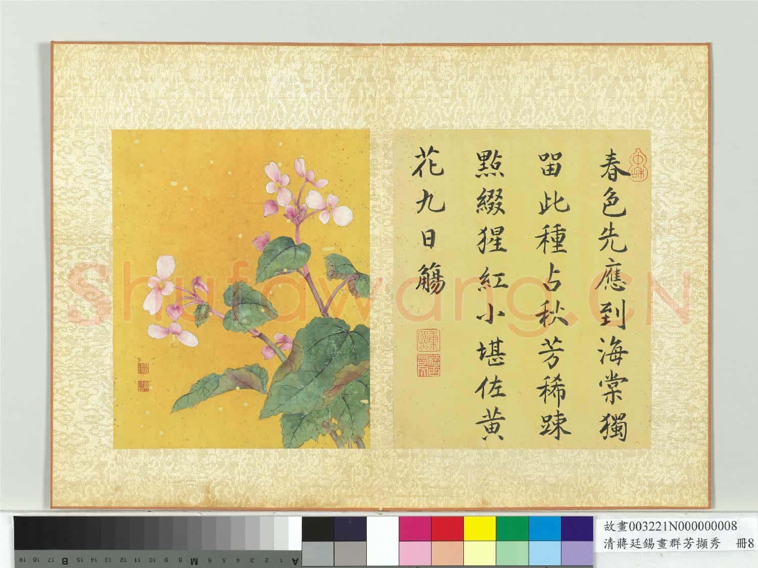 清蔣廷錫畫群芳擷秀 冊 秋海棠
