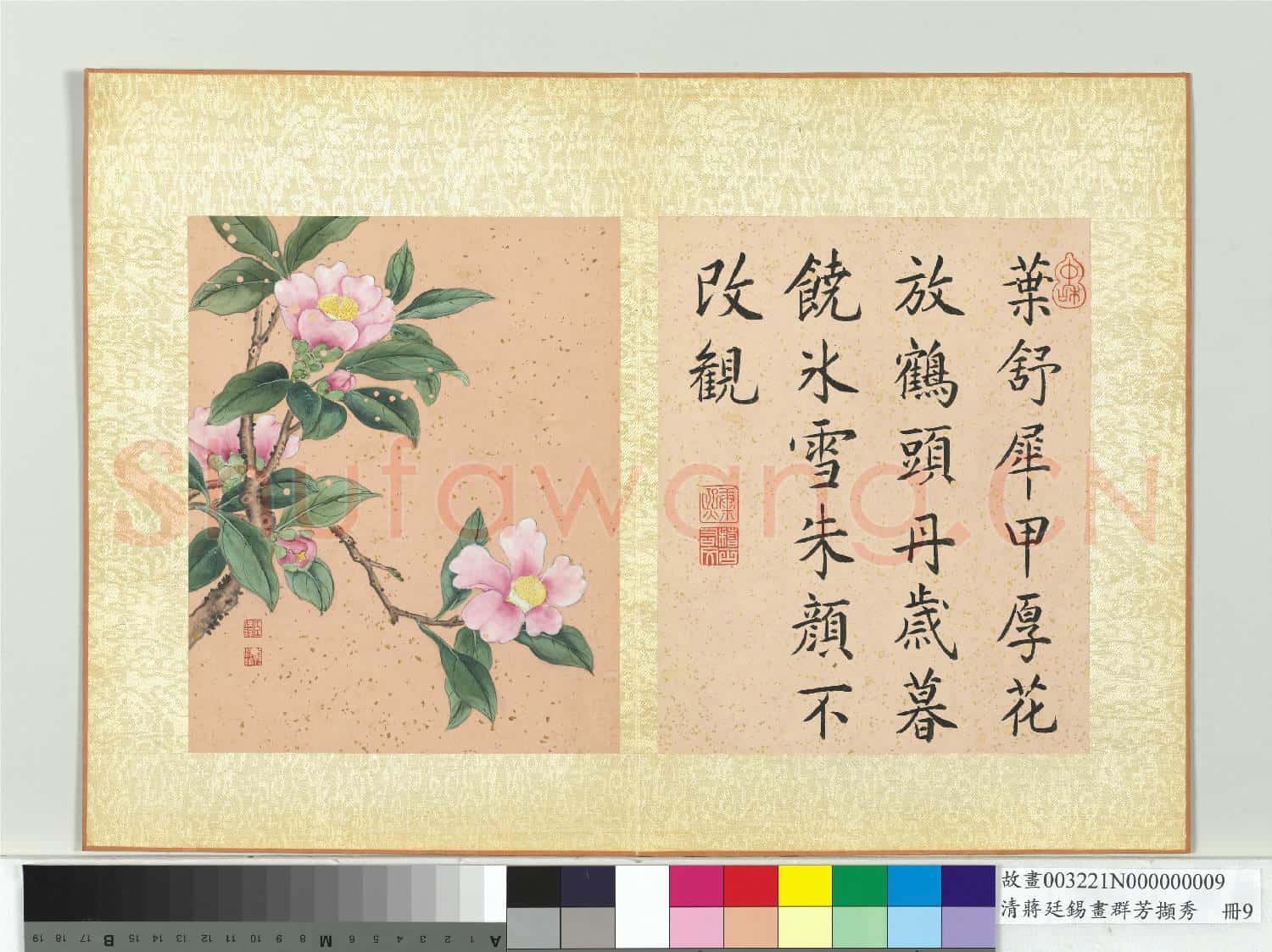 清蔣廷錫畫群芳擷秀 冊 茶花
