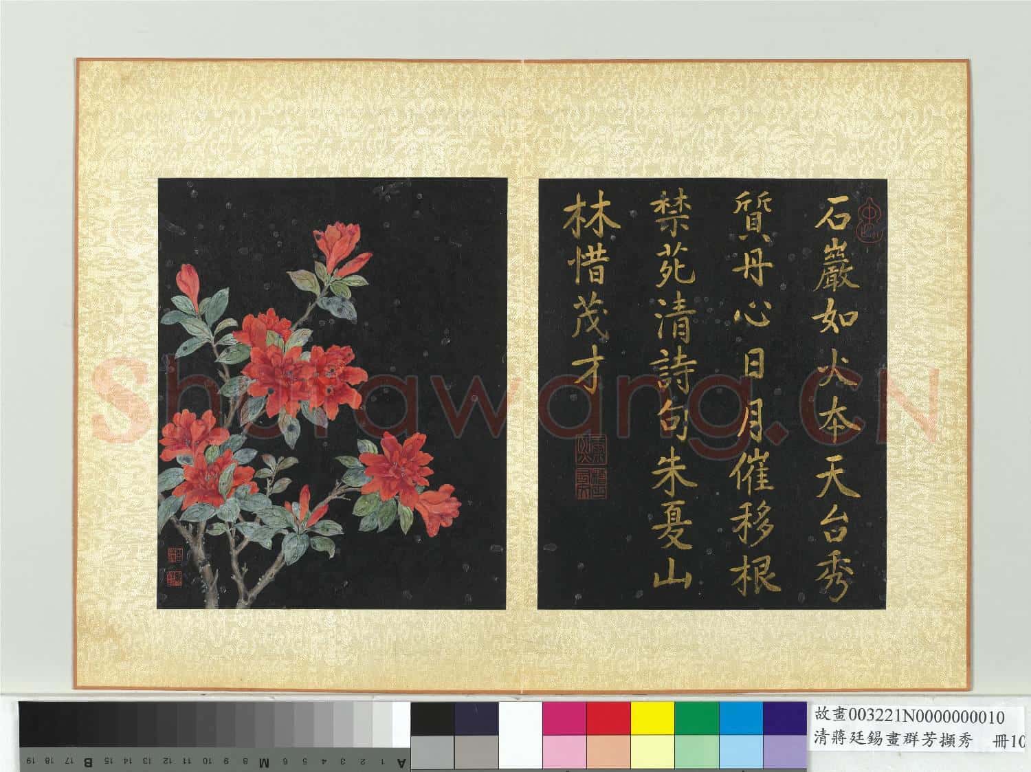 清蔣廷錫畫群芳擷秀 冊 杜鵑