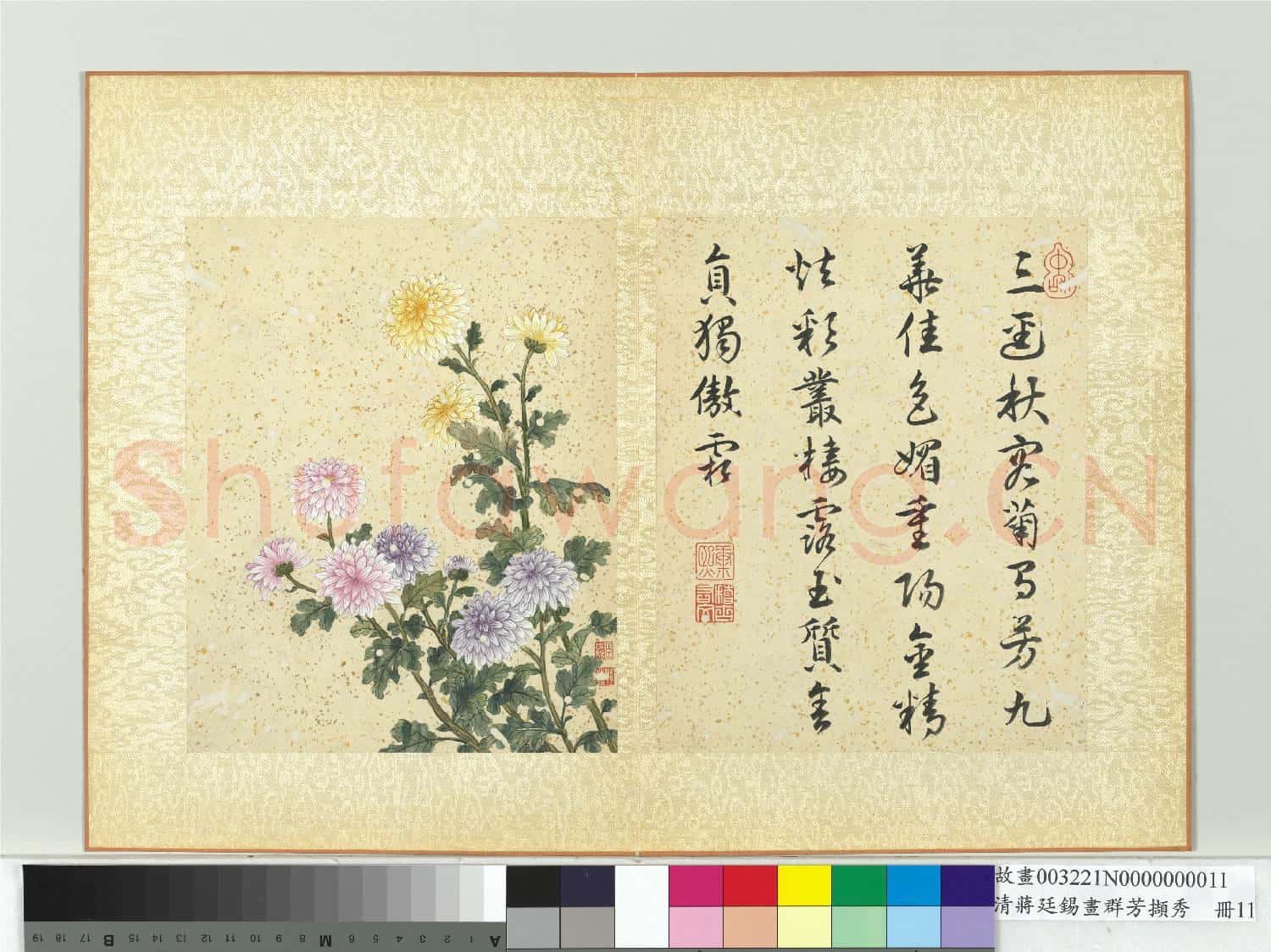 清蔣廷錫畫群芳擷秀 冊 菊花