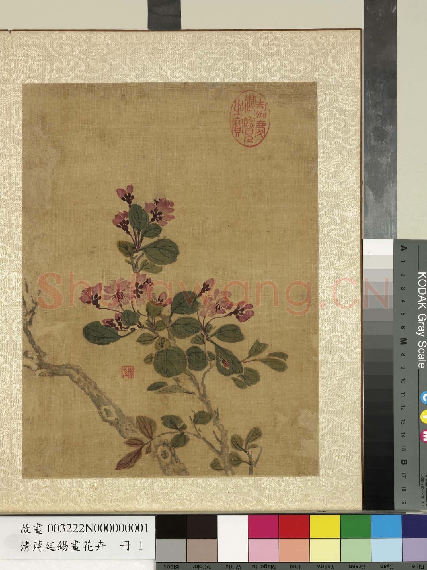 清蔣廷錫畫花卉 冊 海棠