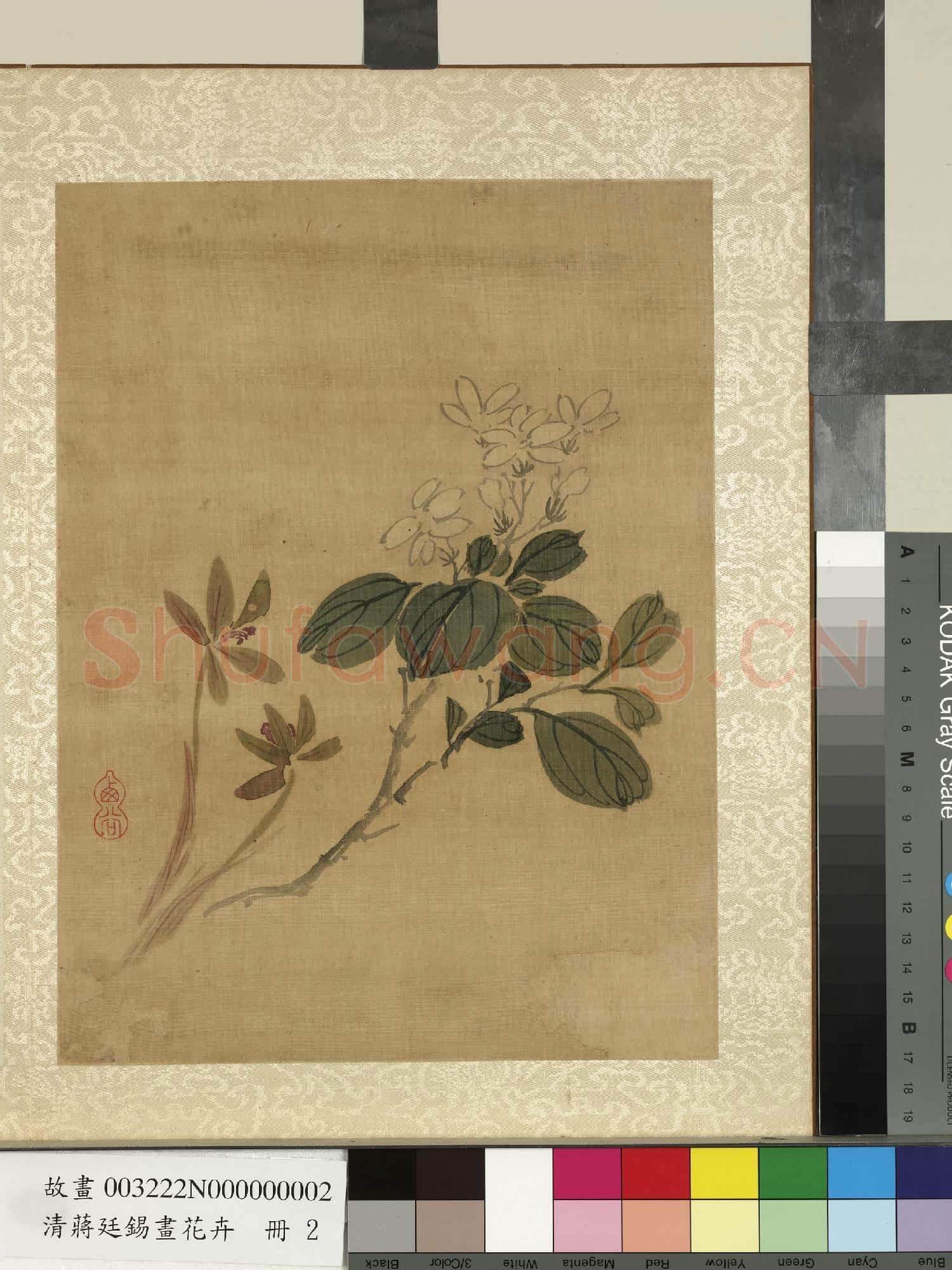 清蔣廷錫畫花卉 冊 蘭花梔子花