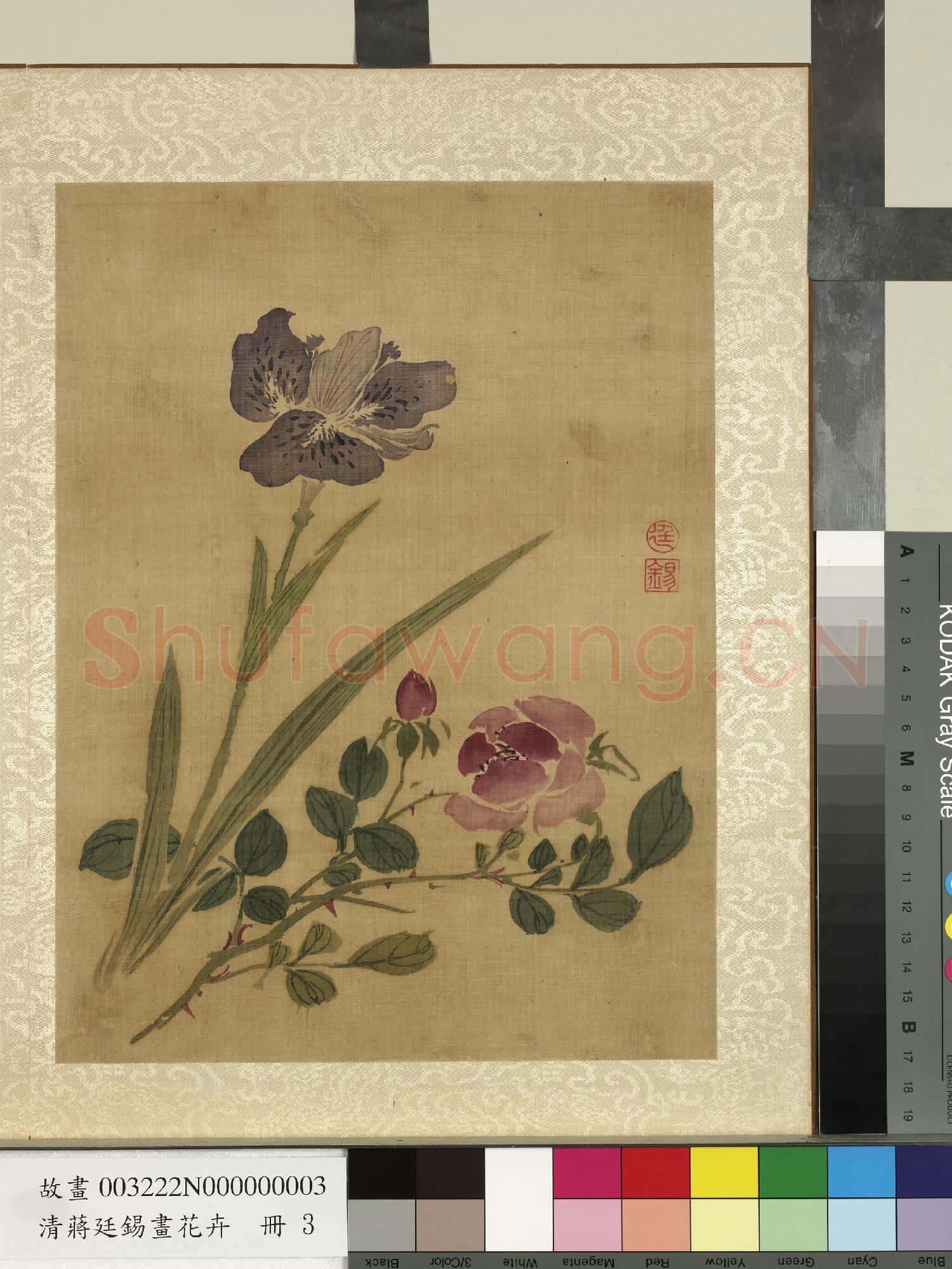 清蔣廷錫畫花卉 冊 薔薇鴛尾