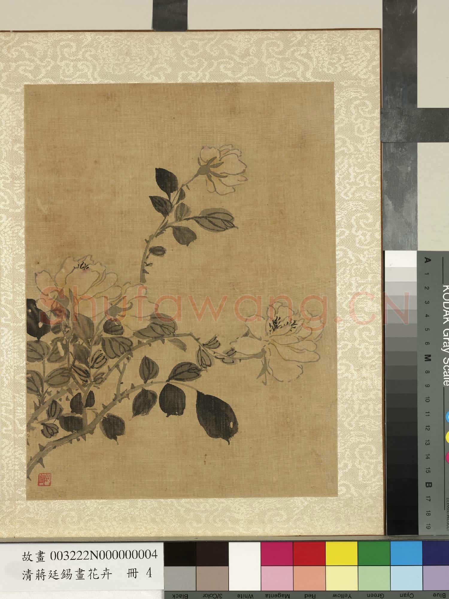 清蔣廷錫畫花卉 冊 月季