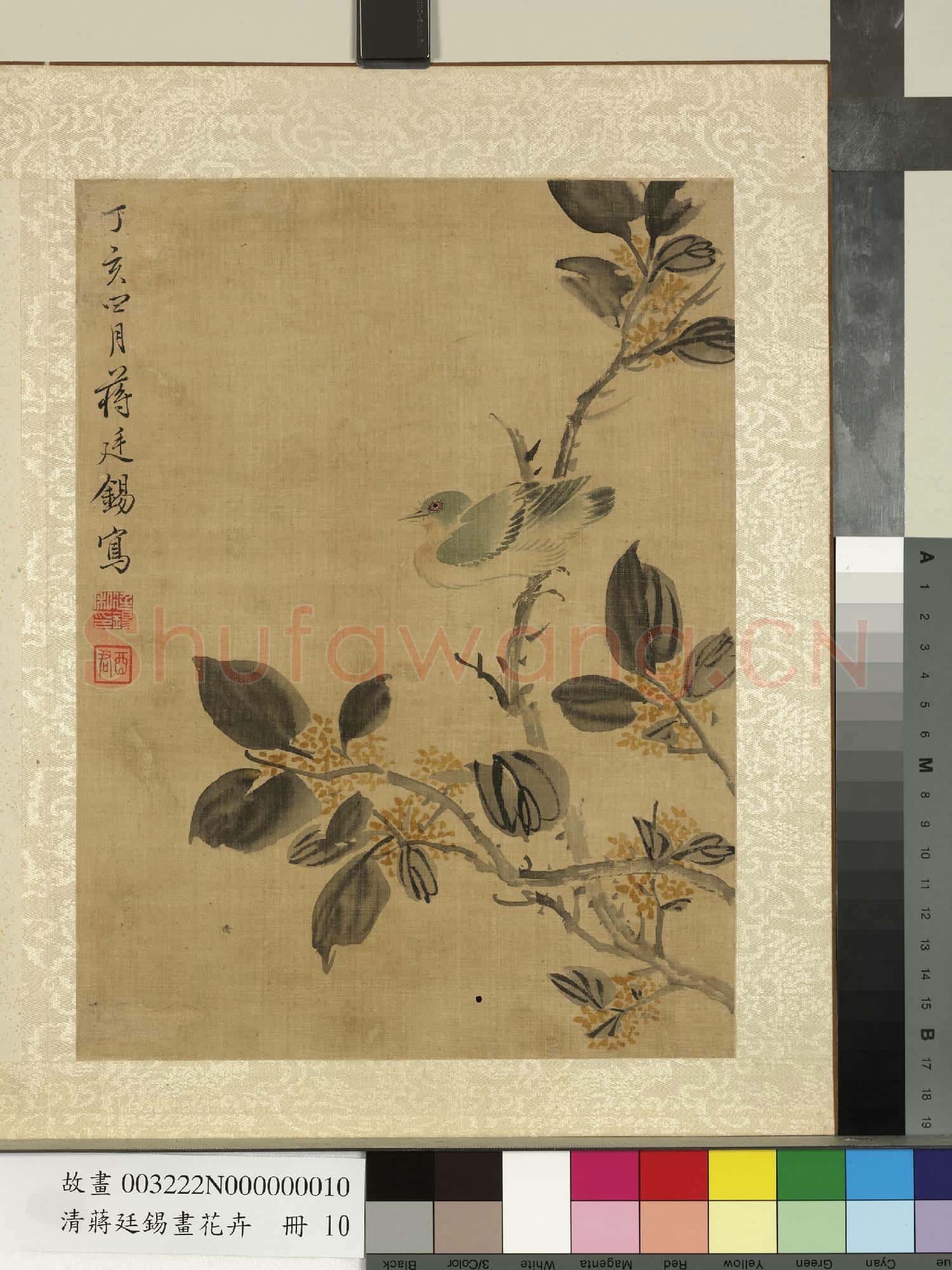 清蔣廷錫畫花卉 冊 桂花