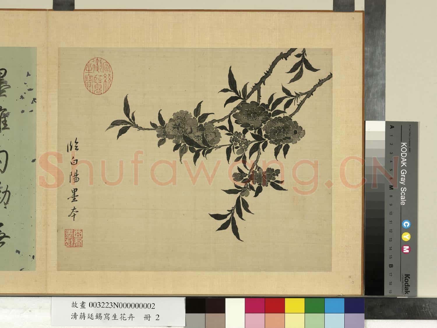 清蔣廷錫寫生花卉 冊 桃花