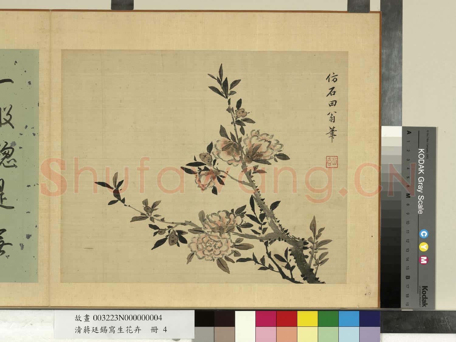 清蔣廷錫寫生花卉 冊 石榴