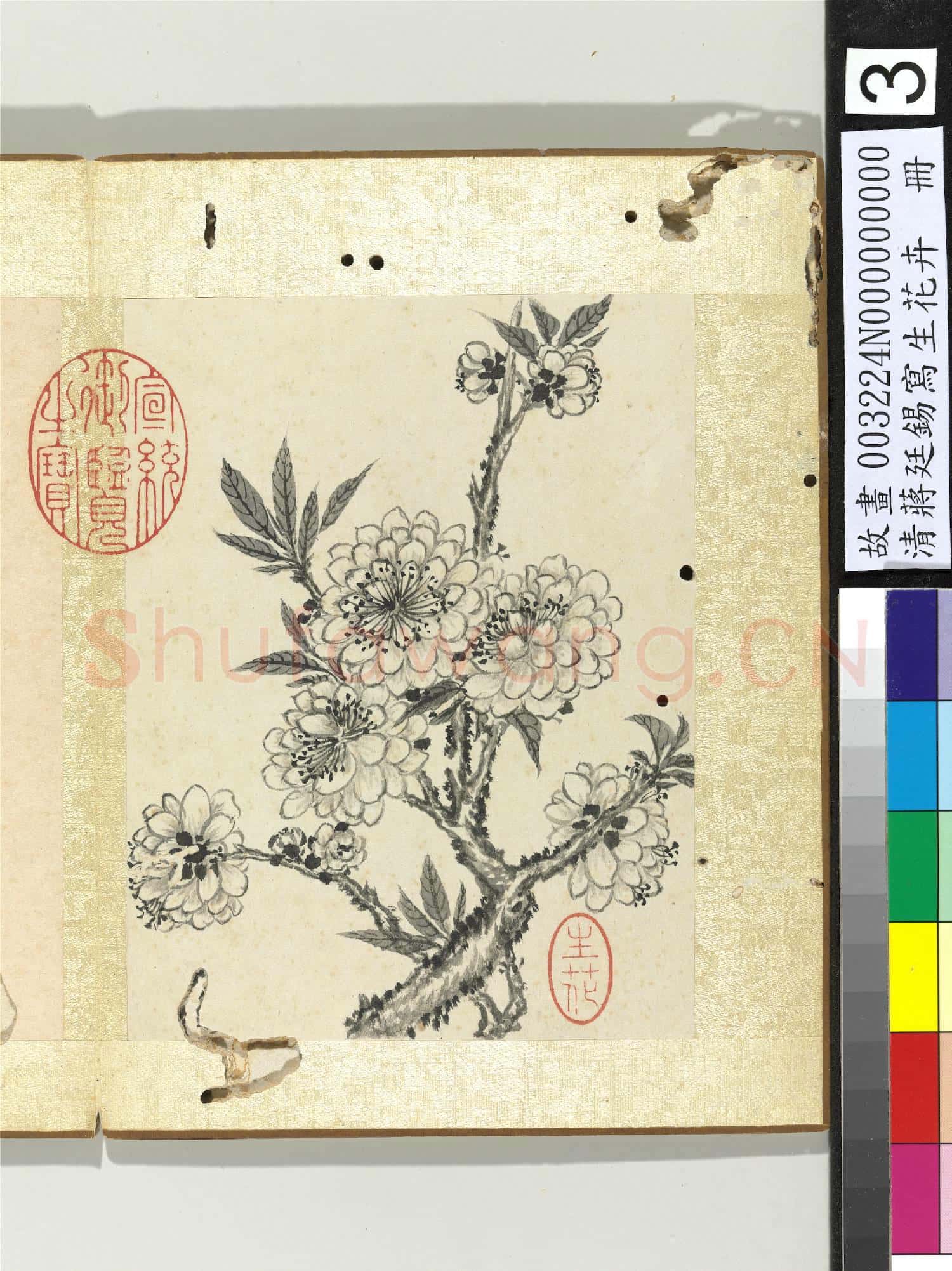清蔣廷錫寫生花卉 冊 碧桃