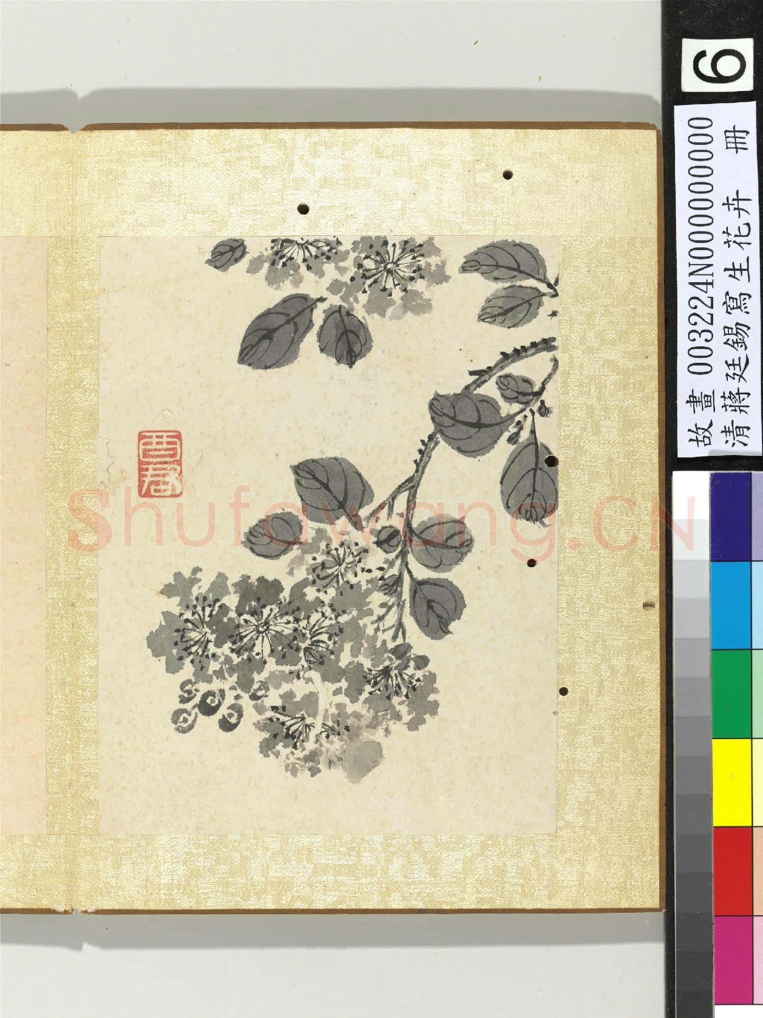 清蔣廷錫寫生花卉 冊 紫薇