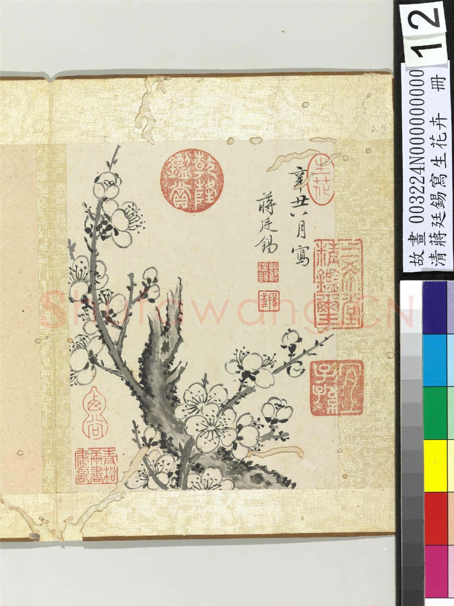 清蔣廷錫寫生花卉 冊 梅花