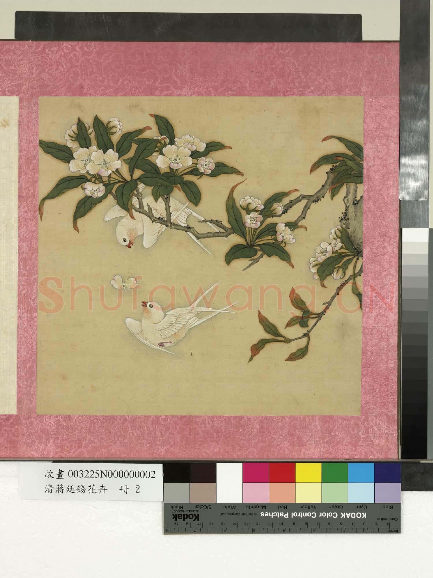清蔣廷錫花卉 冊 桃花雙燕