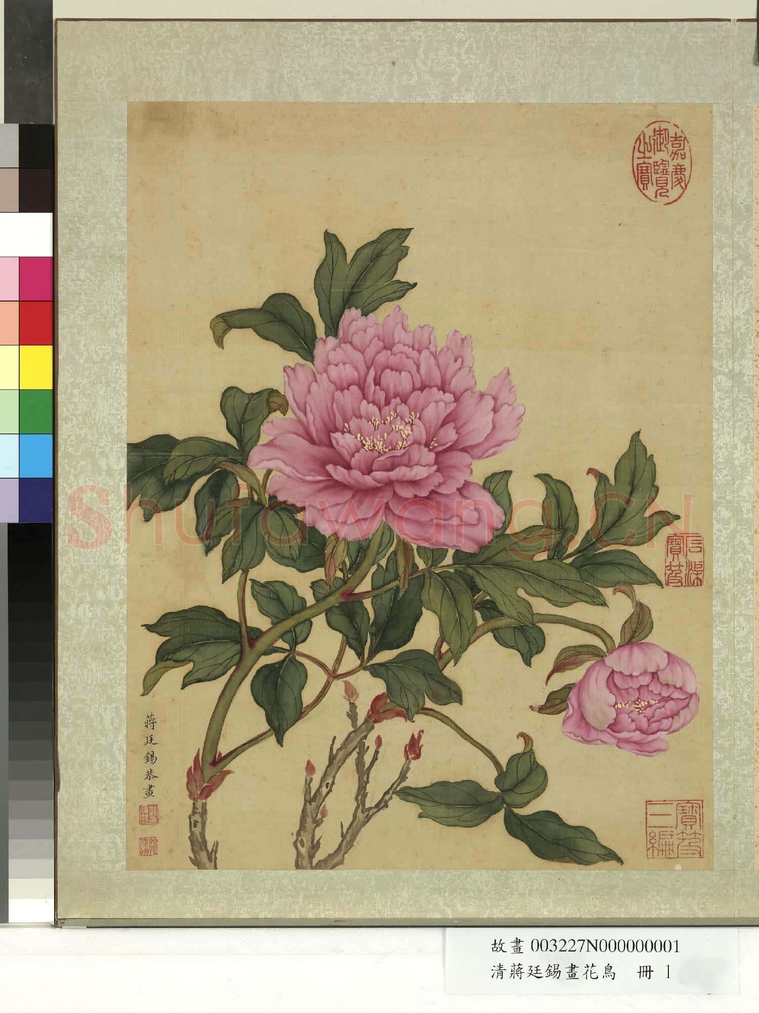 清蔣廷錫畫花鳥 冊 牡丹