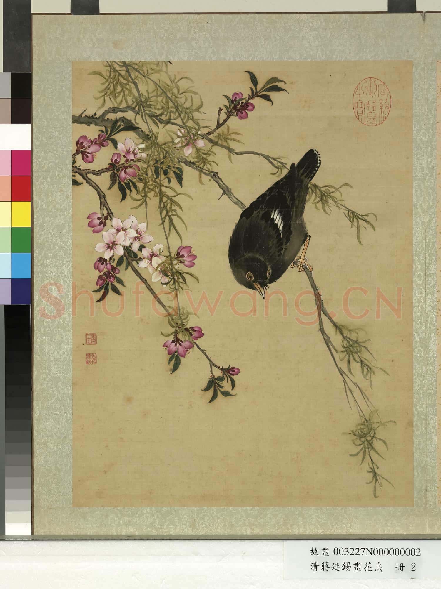 清蔣廷錫畫花鳥 冊 桃柳鸜鵒