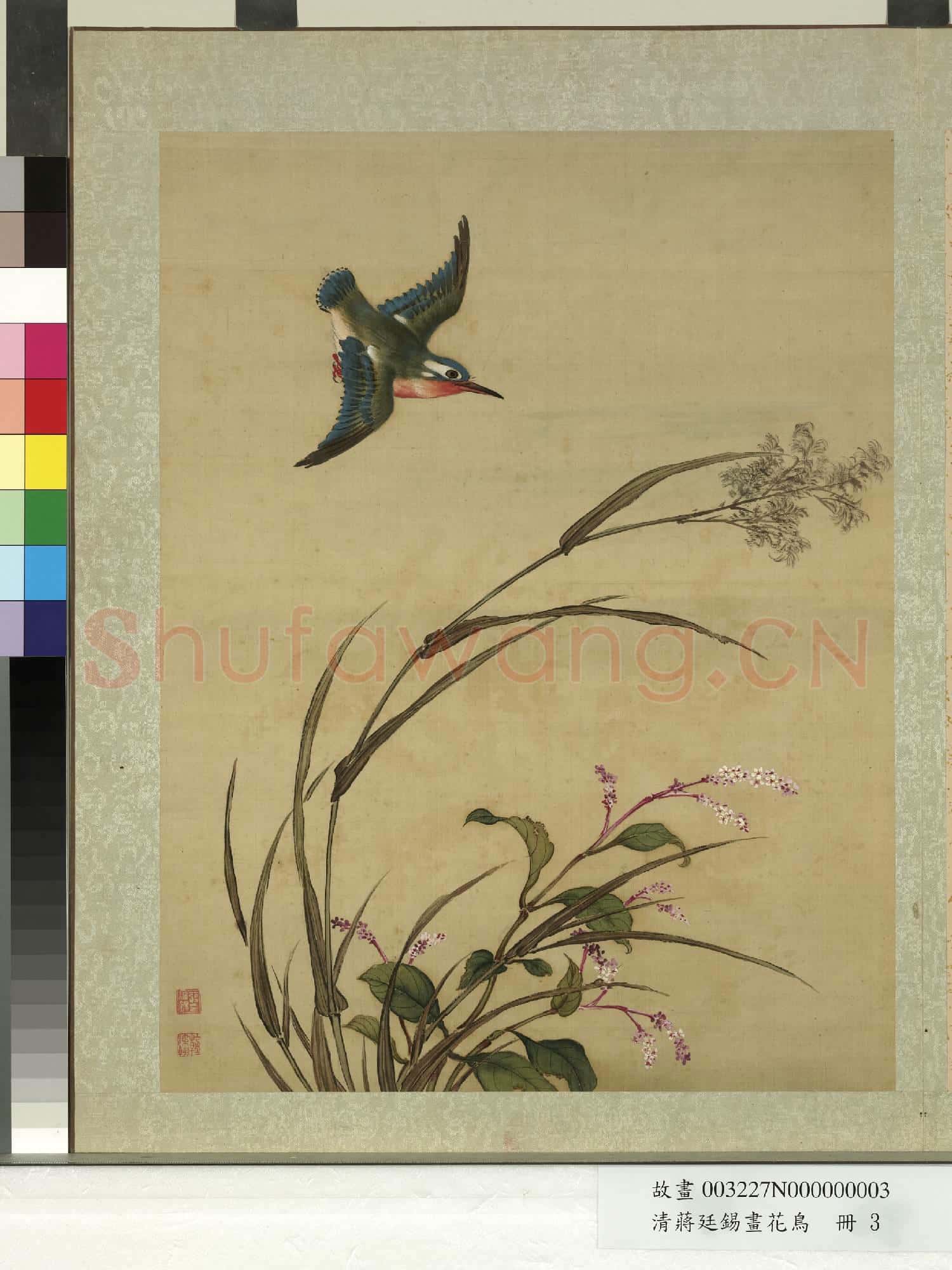 清蔣廷錫畫花鳥 冊 蘆蓼翡翠