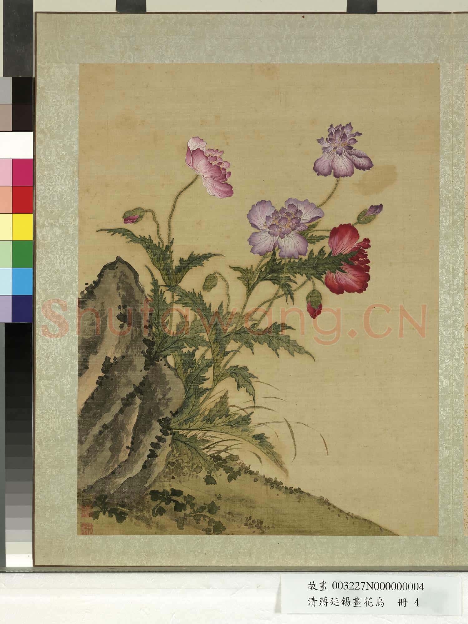 清蔣廷錫畫花鳥 冊 罌粟