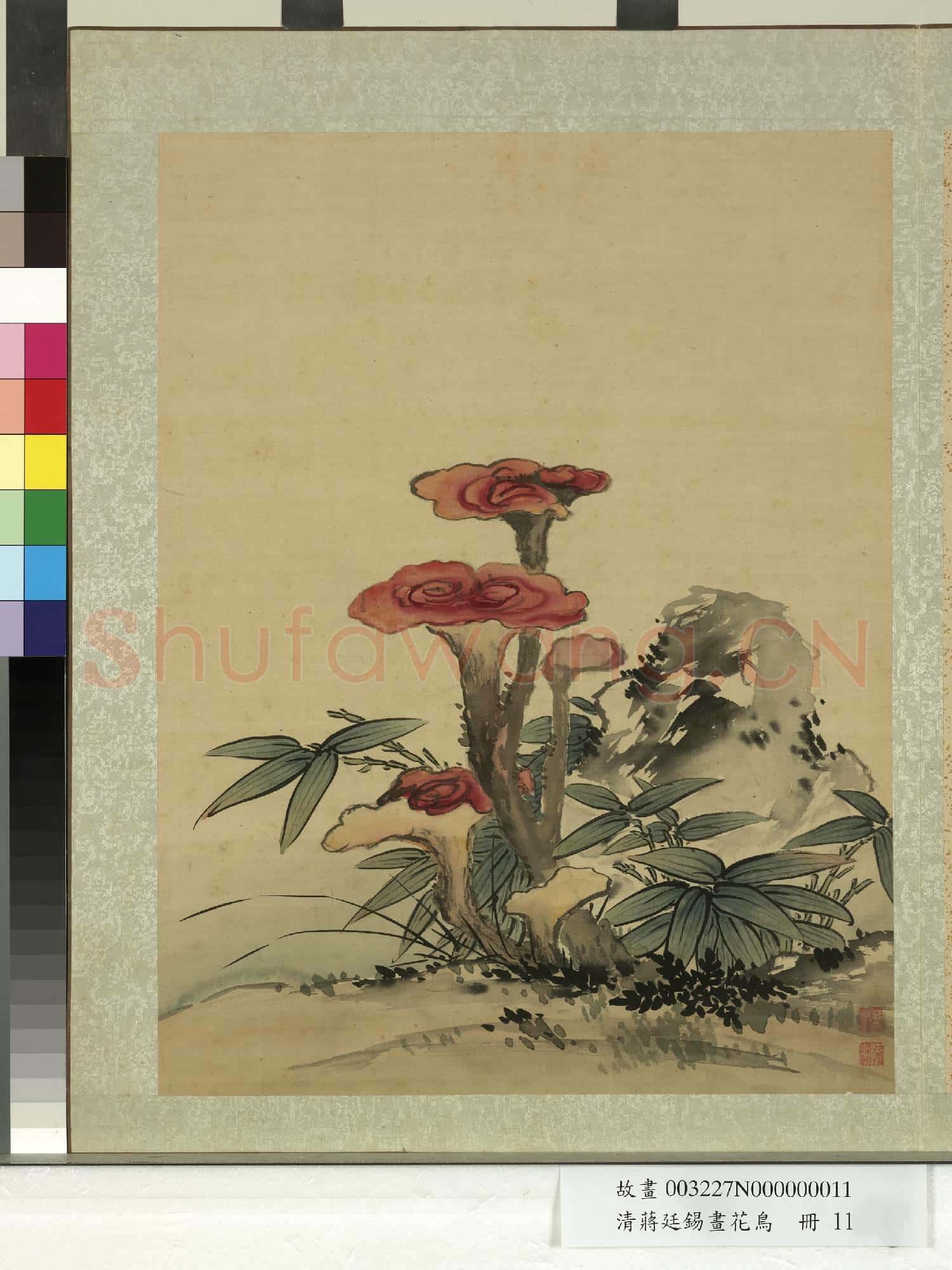 清蔣廷錫畫花鳥 冊 紫芝竹石