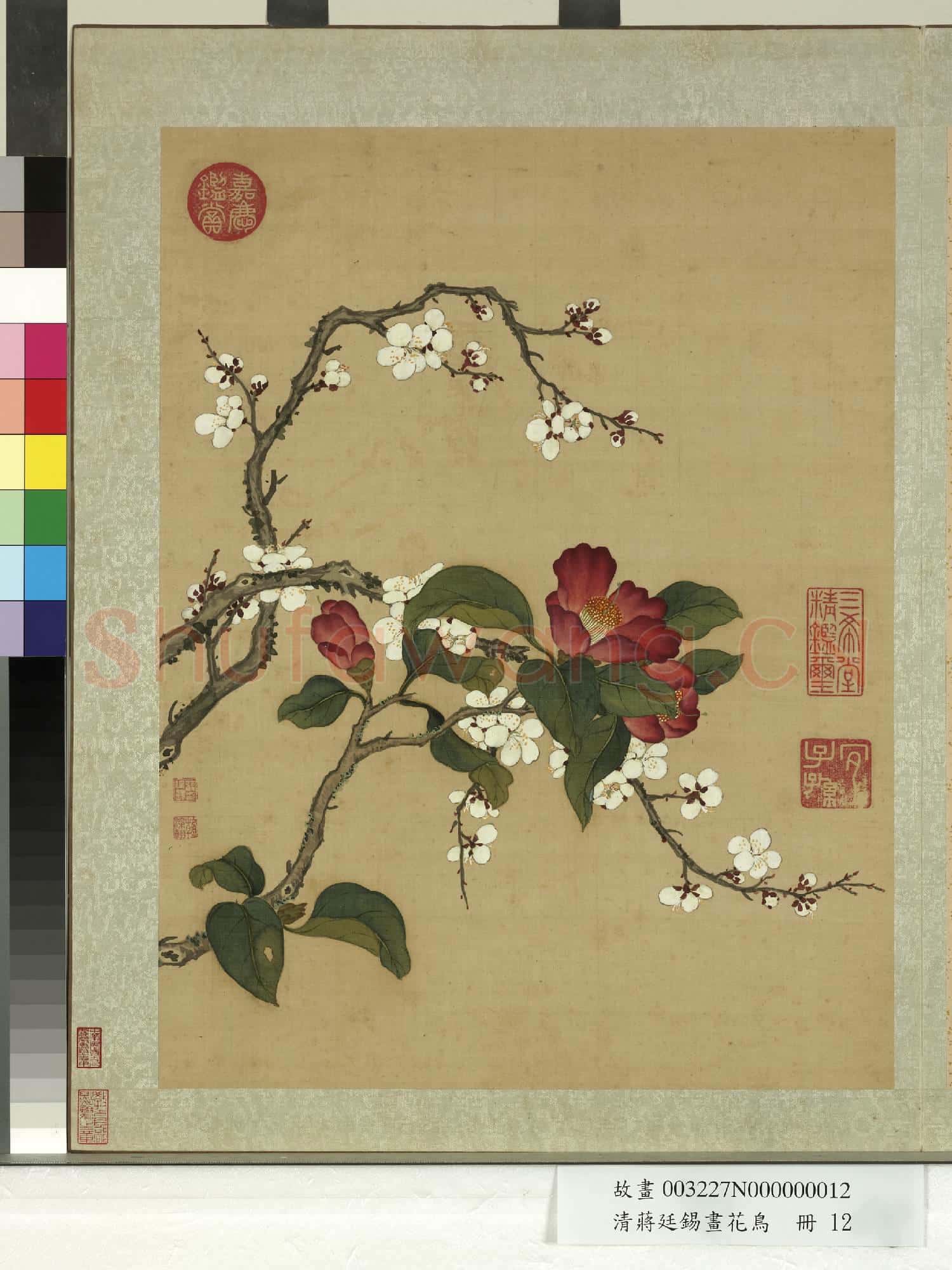清蔣廷錫畫花鳥 冊 梅花山茶