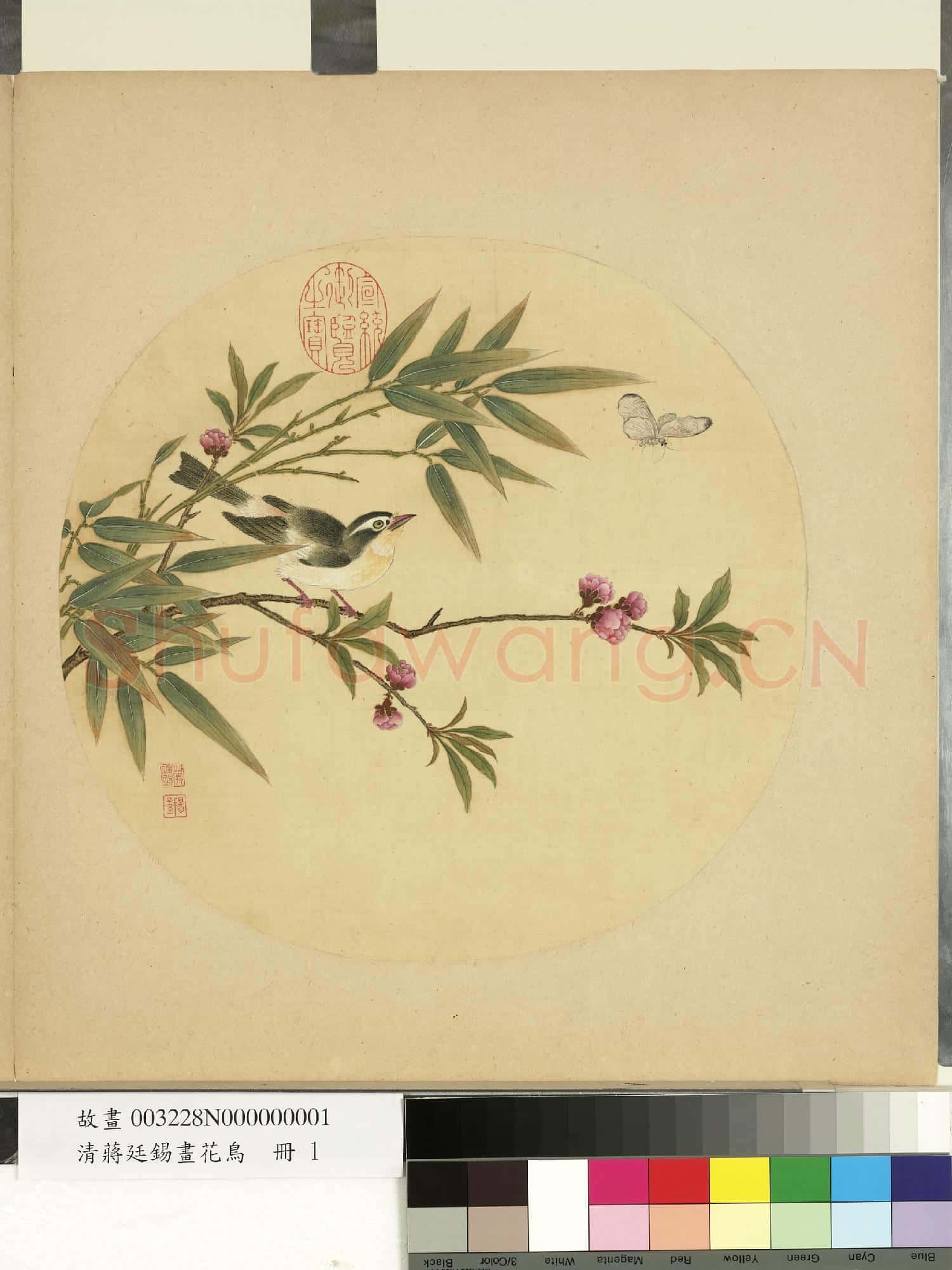 清蔣廷錫畫花鳥 冊 桃竹畫眉