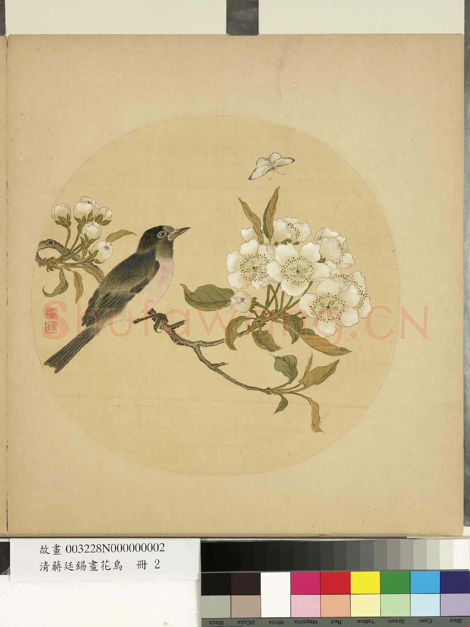 清蔣廷錫畫花鳥 冊 碧桃