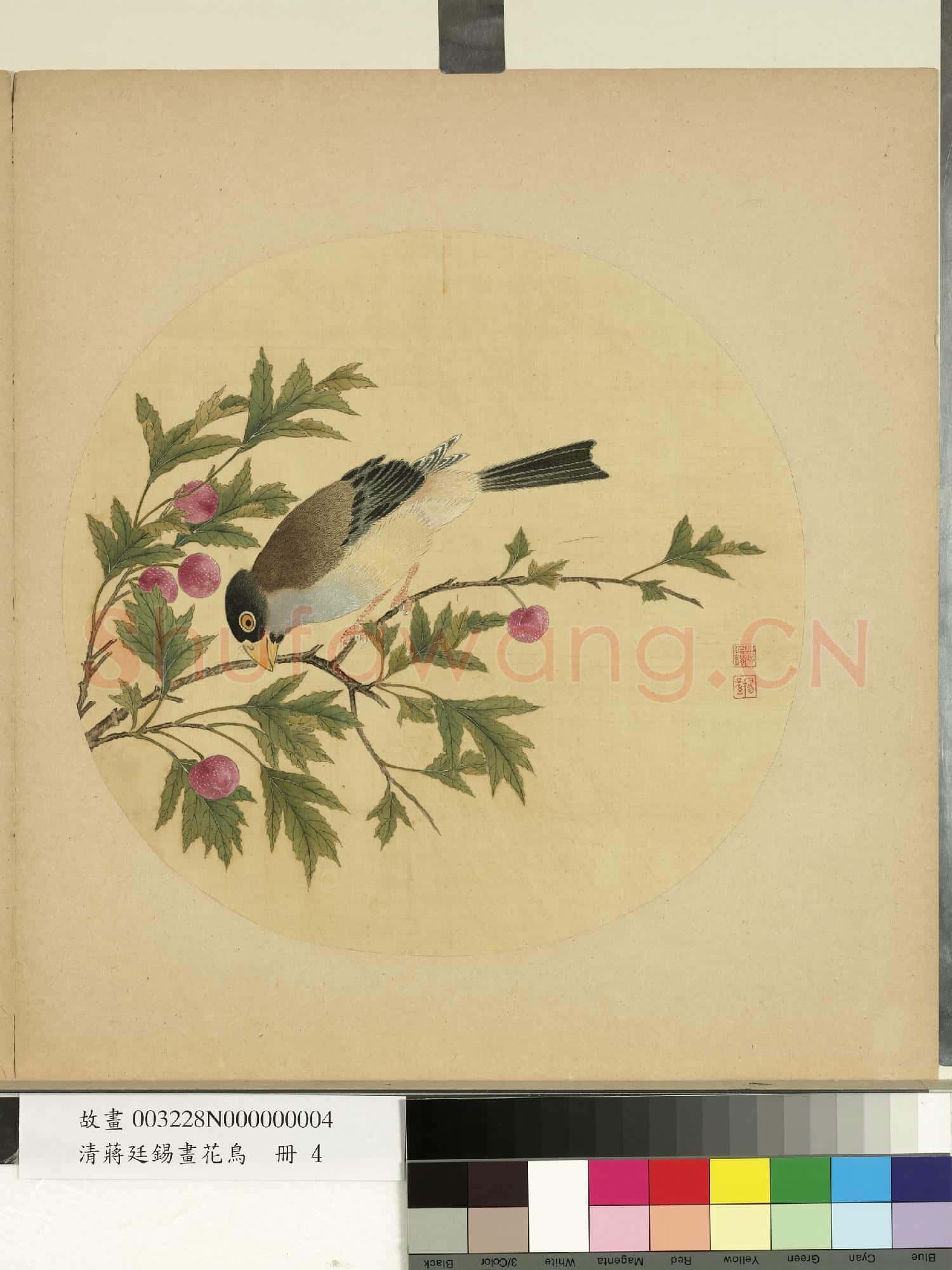 清蔣廷錫畫花鳥 冊 櫻桃
