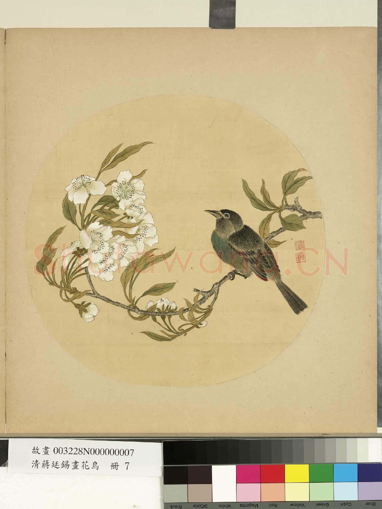 清蔣廷錫畫花鳥 冊 梨花
