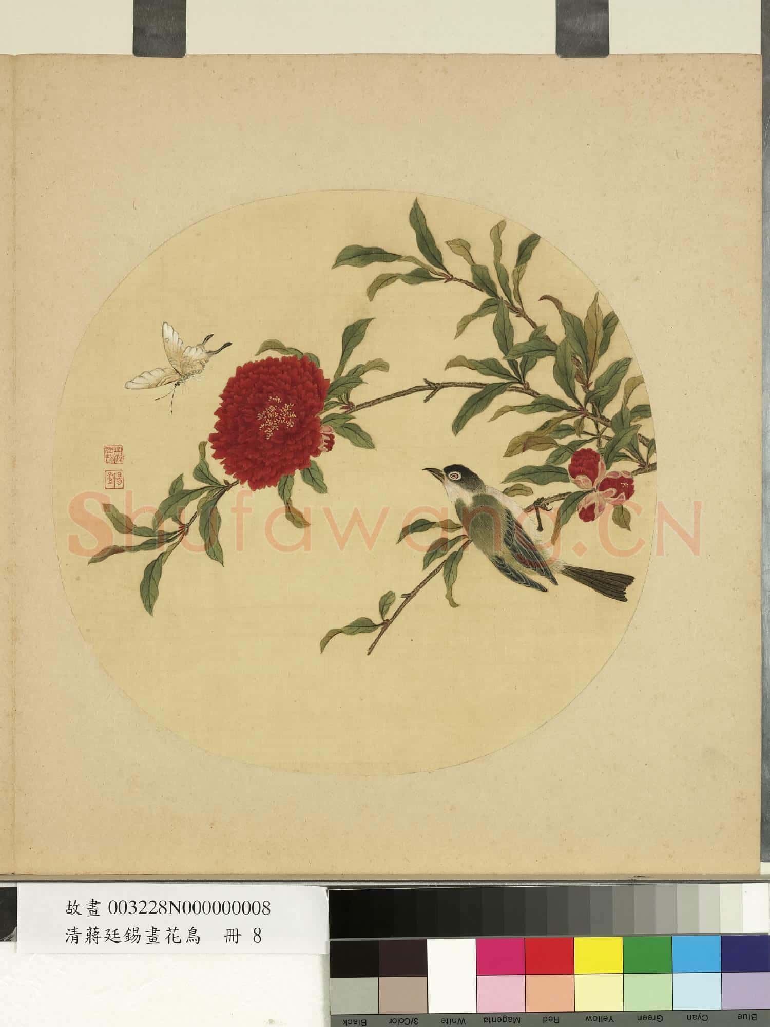 清蔣廷錫畫花鳥 冊 石榴花蝶