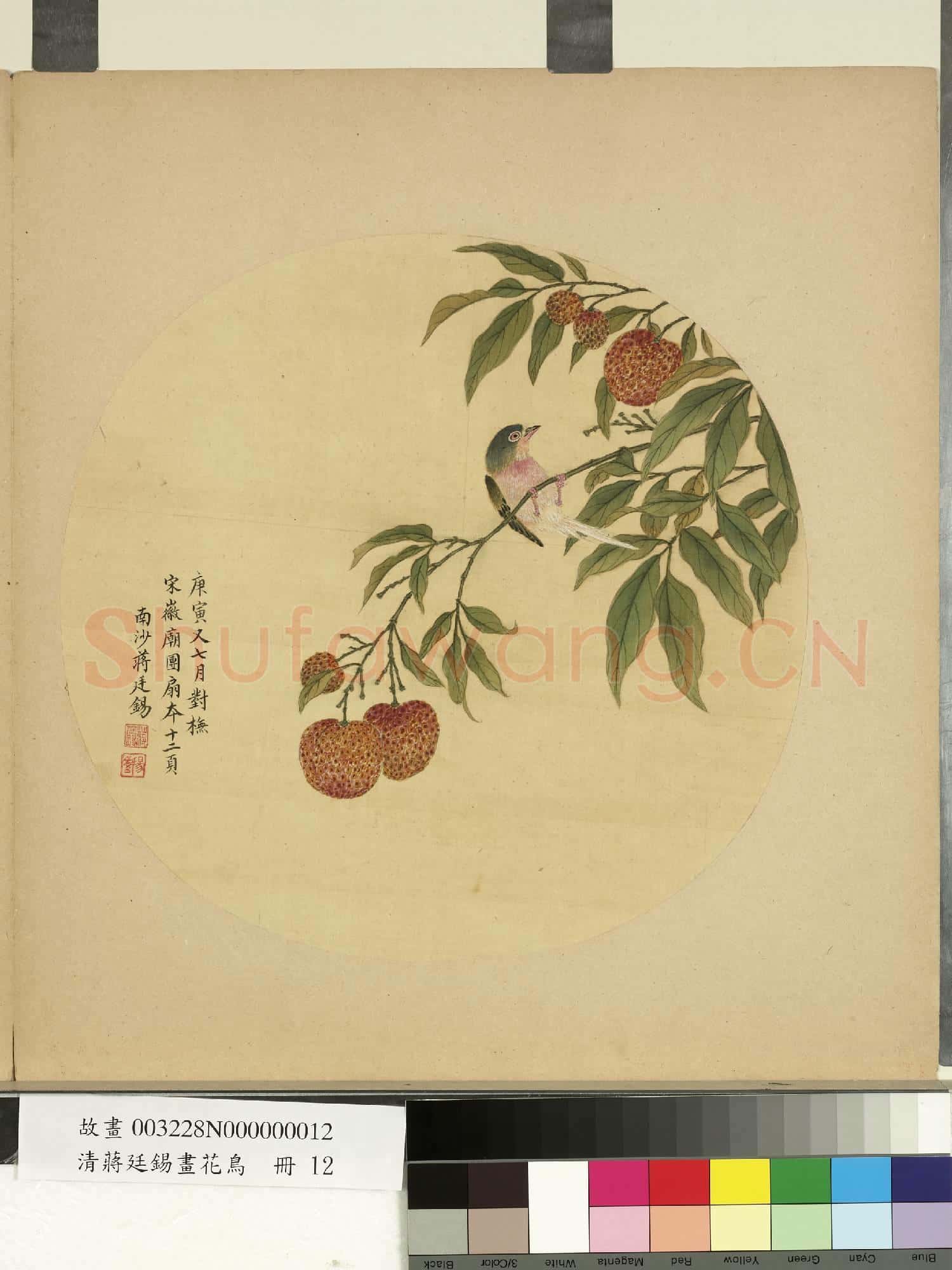 清蔣廷錫畫花鳥 冊 荔枝