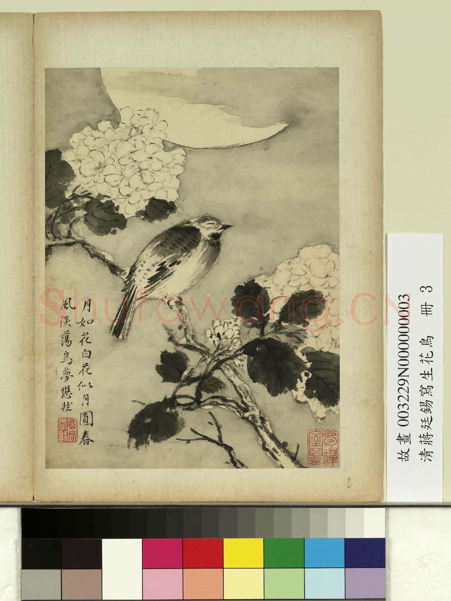 清蔣廷錫寫生花鳥 冊 鳥夢悠然