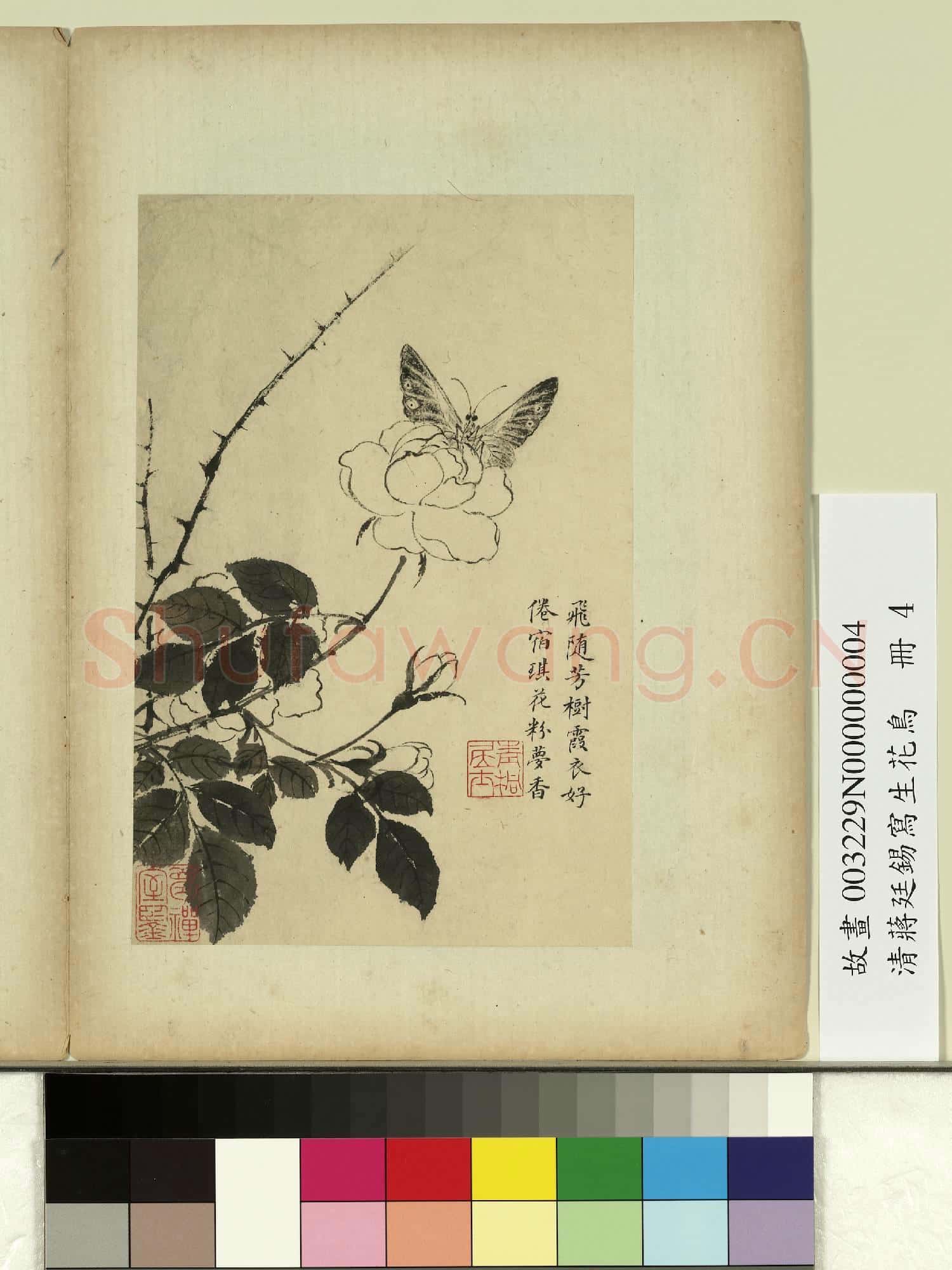 清蔣廷錫寫生花鳥 冊 飛隨芳樹