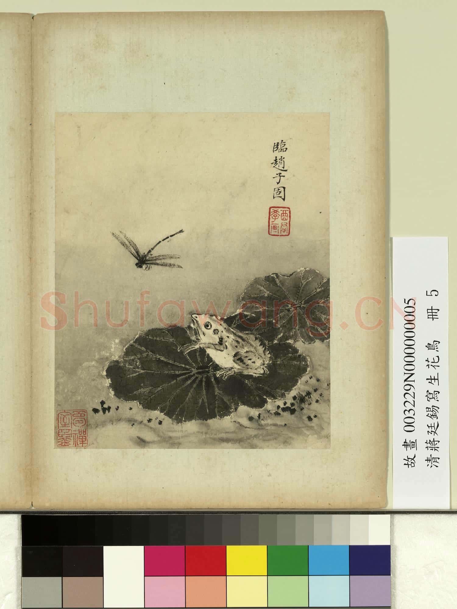 清蔣廷錫寫生花鳥 冊 荷蛙蜻蜓