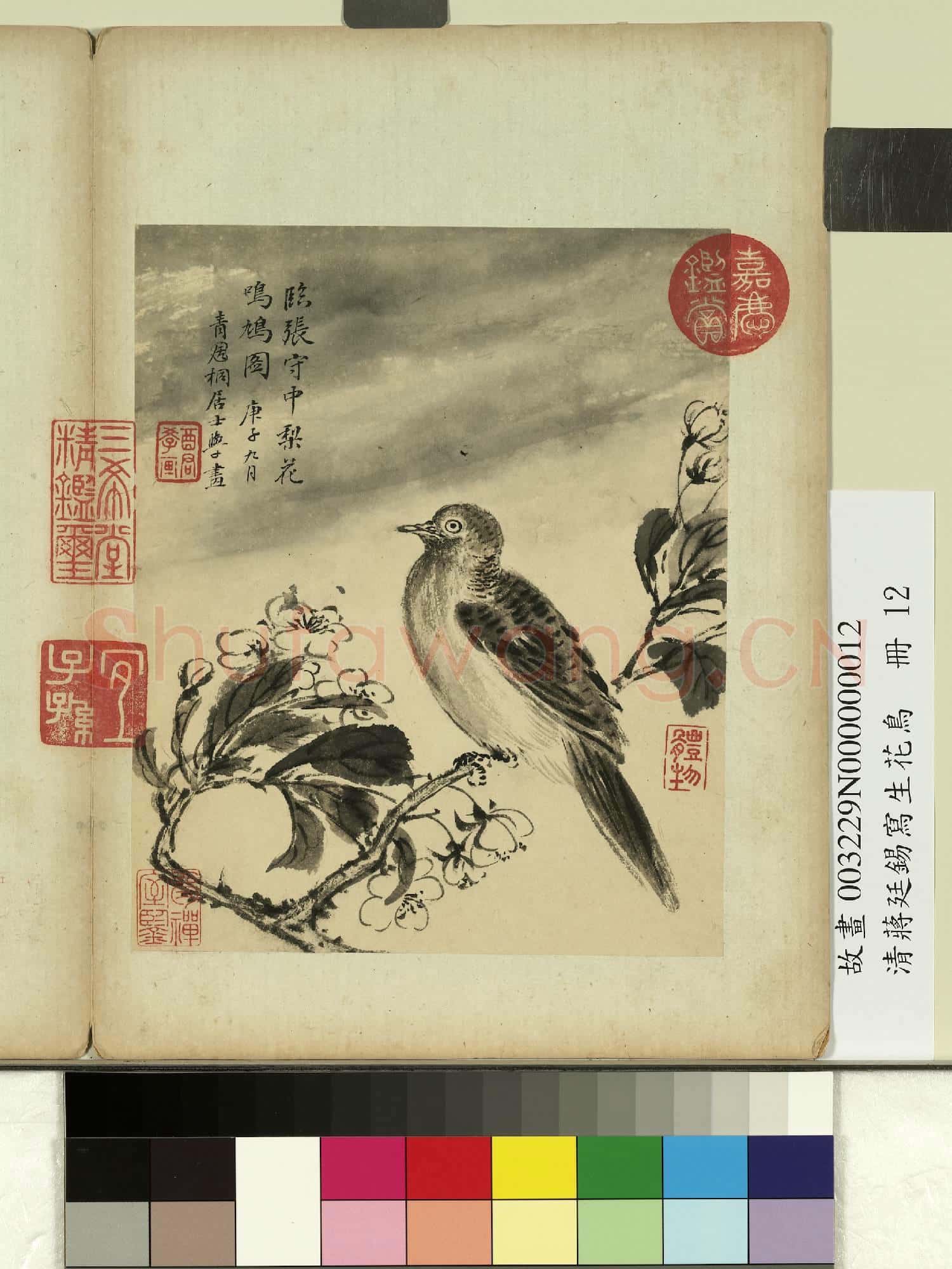 清蔣廷錫寫生花鳥 冊 梨花鳴鳩