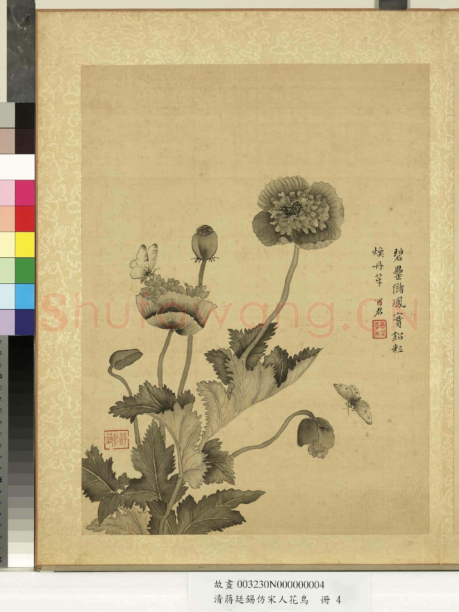 清蔣廷錫仿宋人花鳥 冊 罌粟來蝶