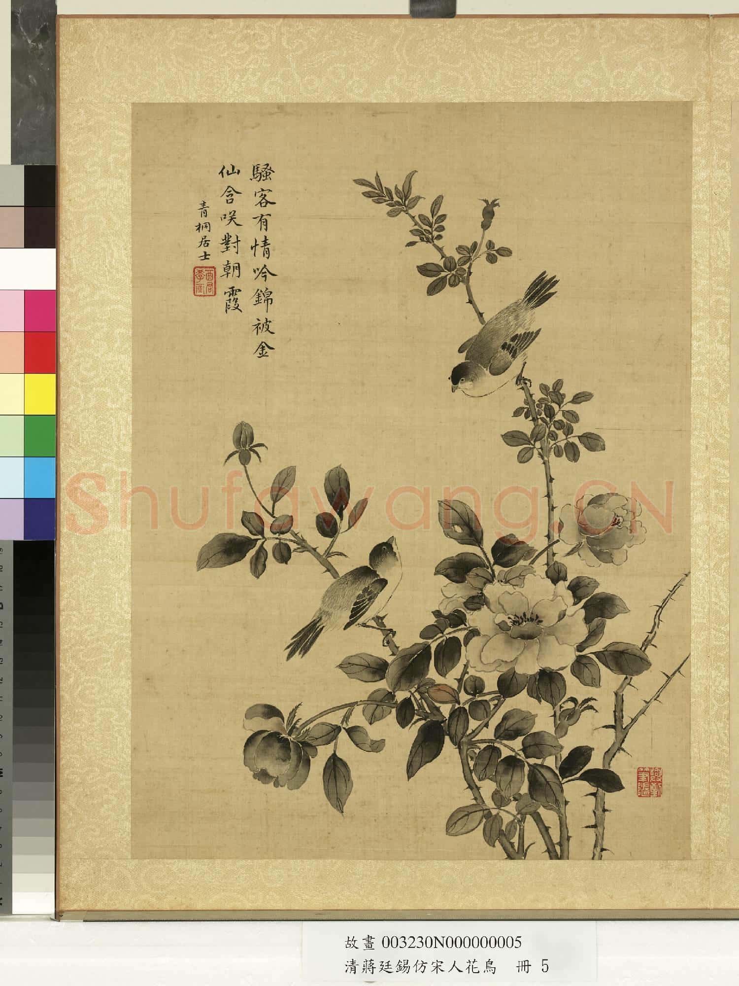 清蔣廷錫仿宋人花鳥 冊 月季山鳥