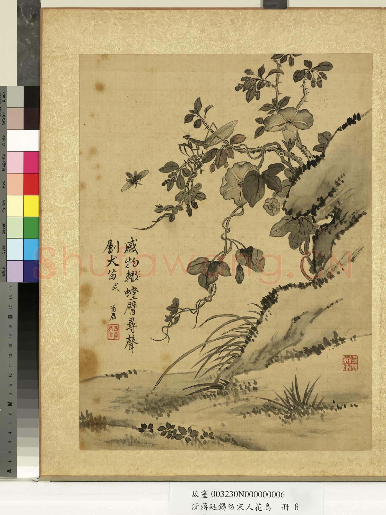 清蔣廷錫仿宋人花鳥 冊 牽牛螳螂