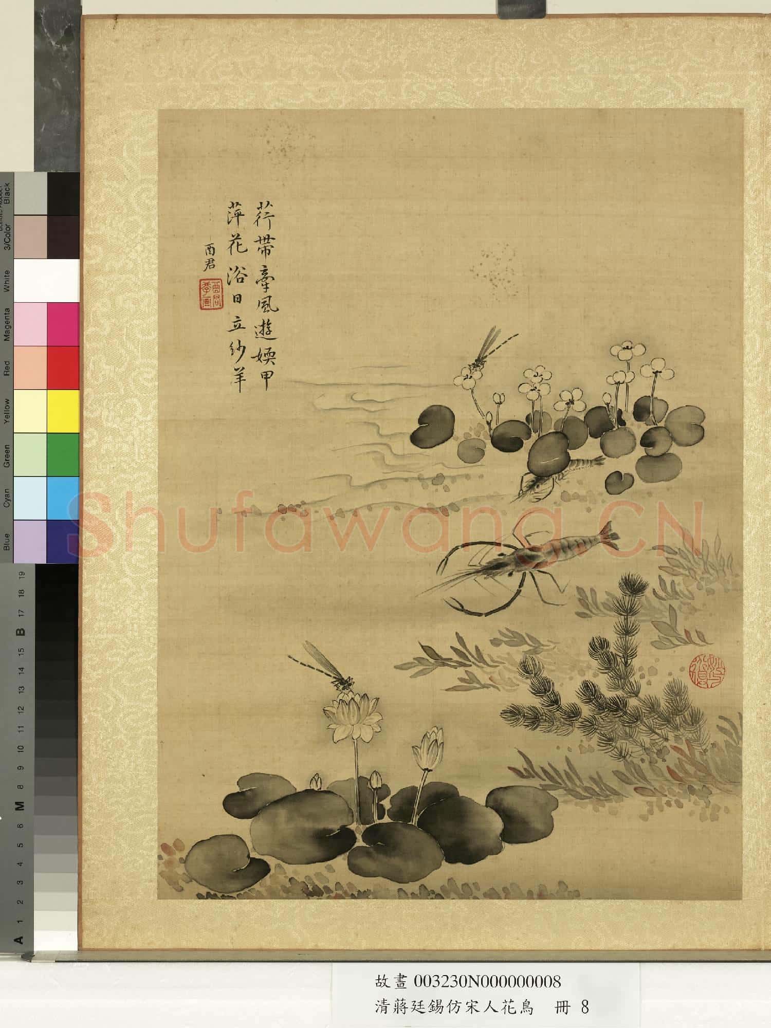 清蔣廷錫仿宋人花鳥 冊 豆娘荷花