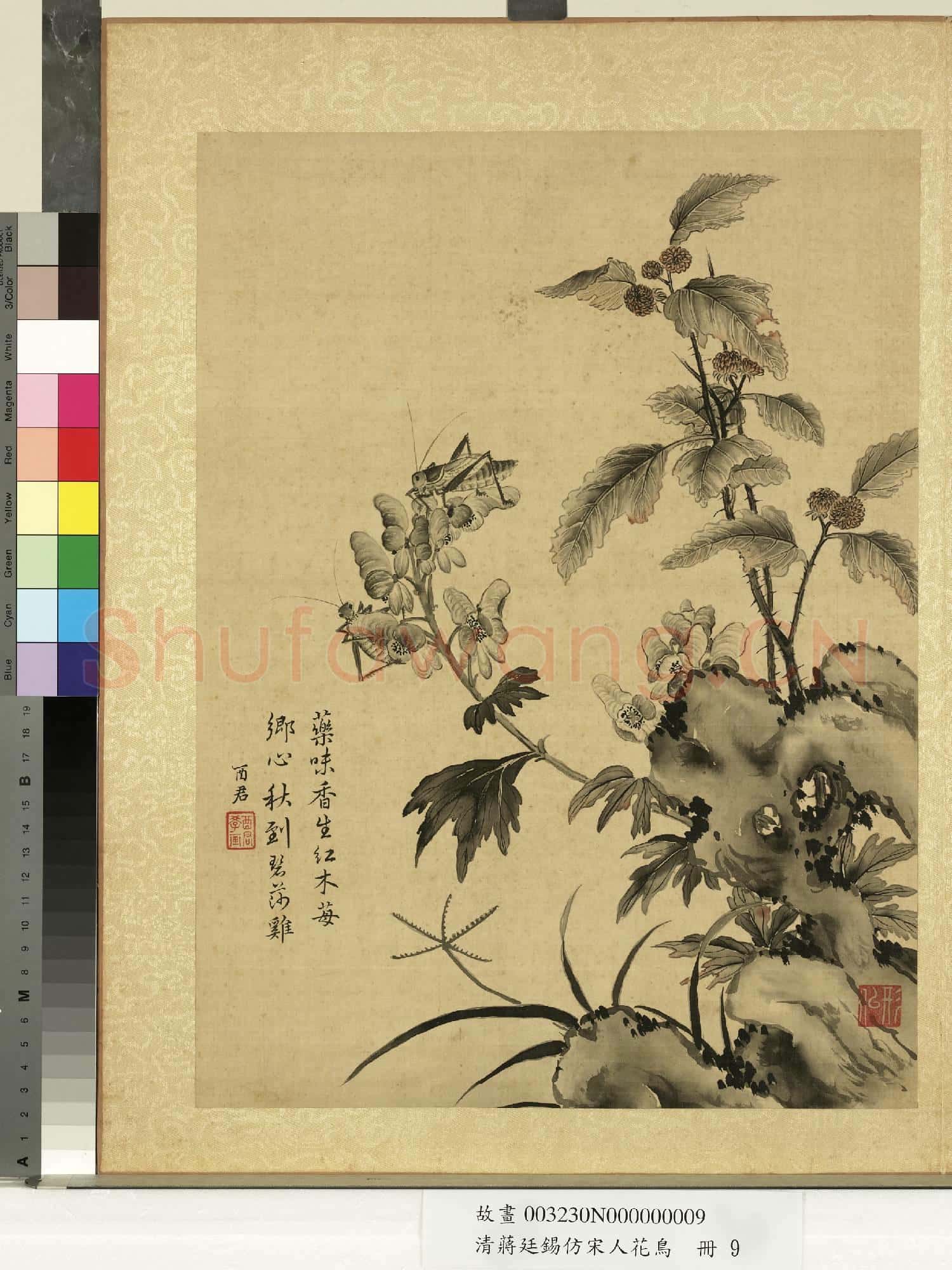 清蔣廷錫仿宋人花鳥 冊 蟋蟀