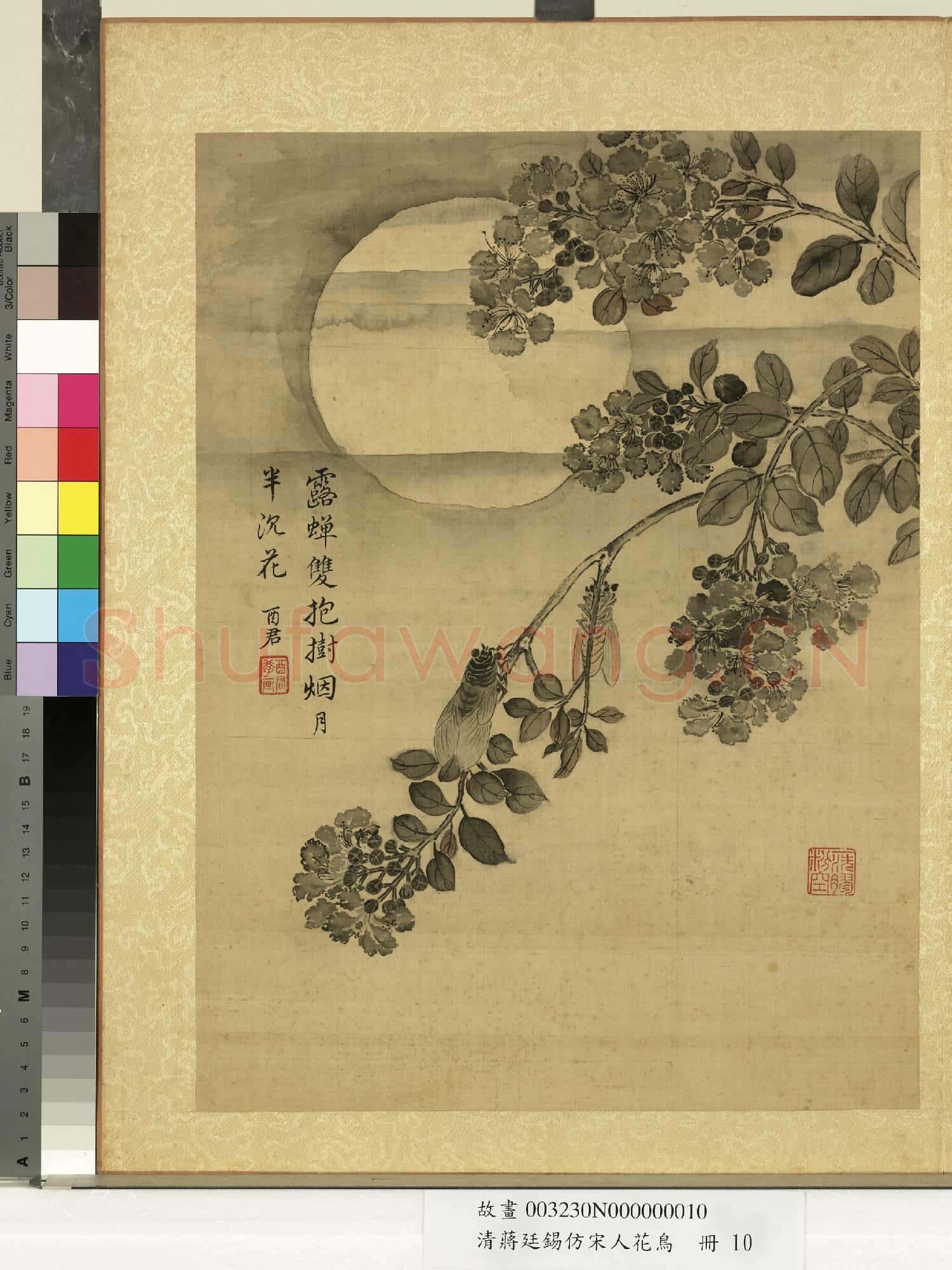清蔣廷錫仿宋人花鳥 冊 蟬鳴紫薇