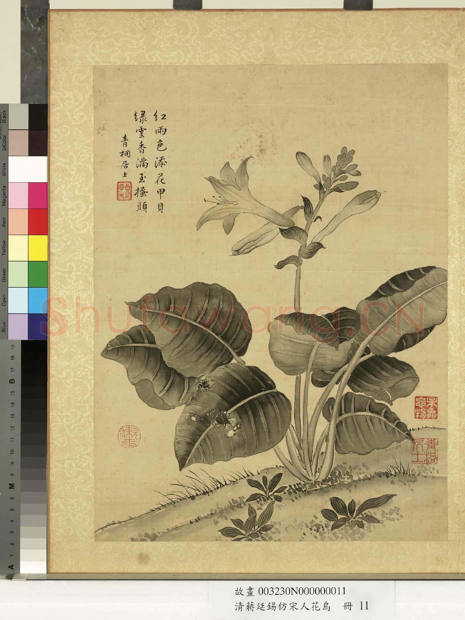 清蔣廷錫仿宋人花鳥 冊 玉簪蜘蛛
